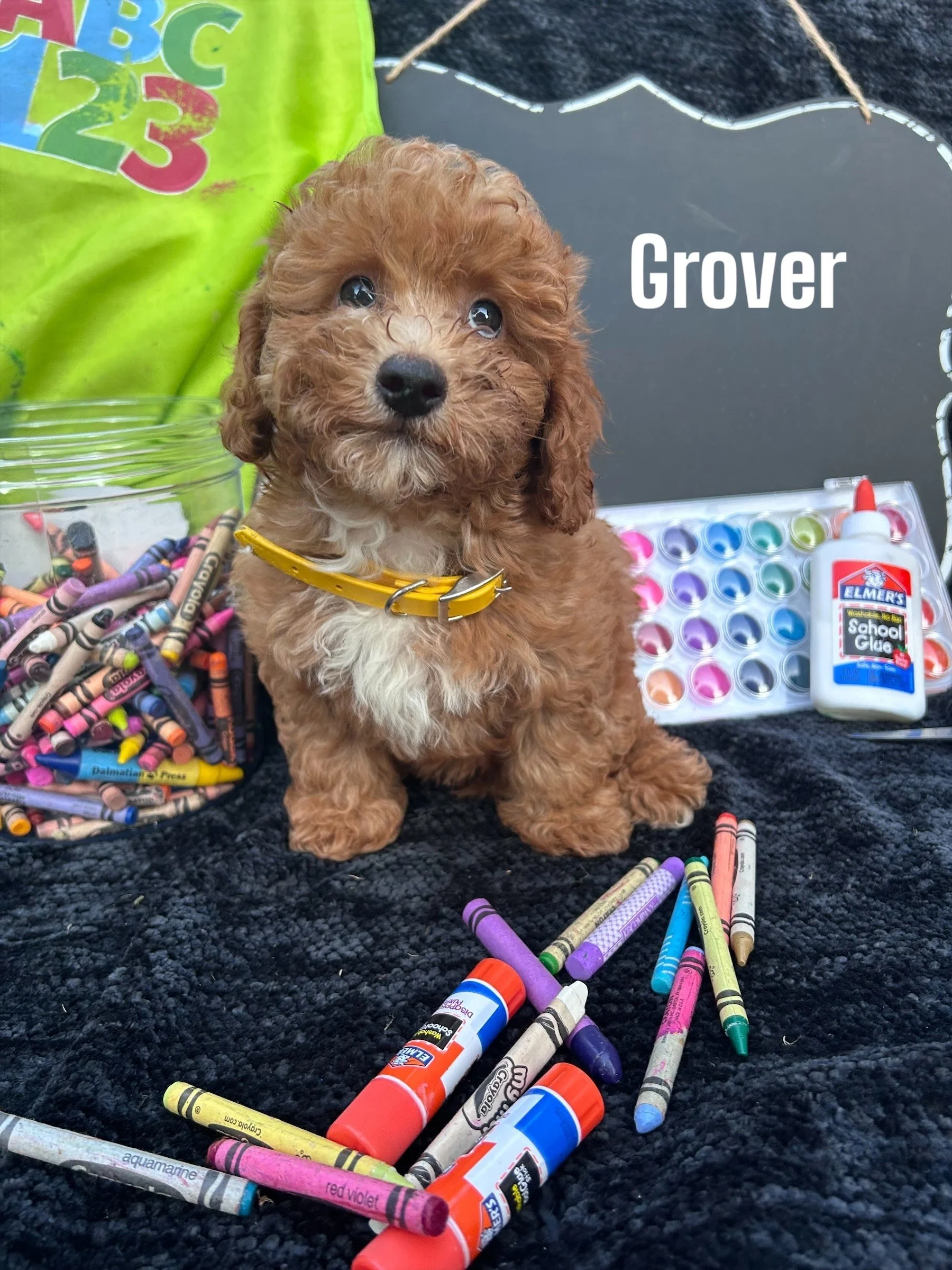 Photoroom_003_20250807_191759 (1).jpeg