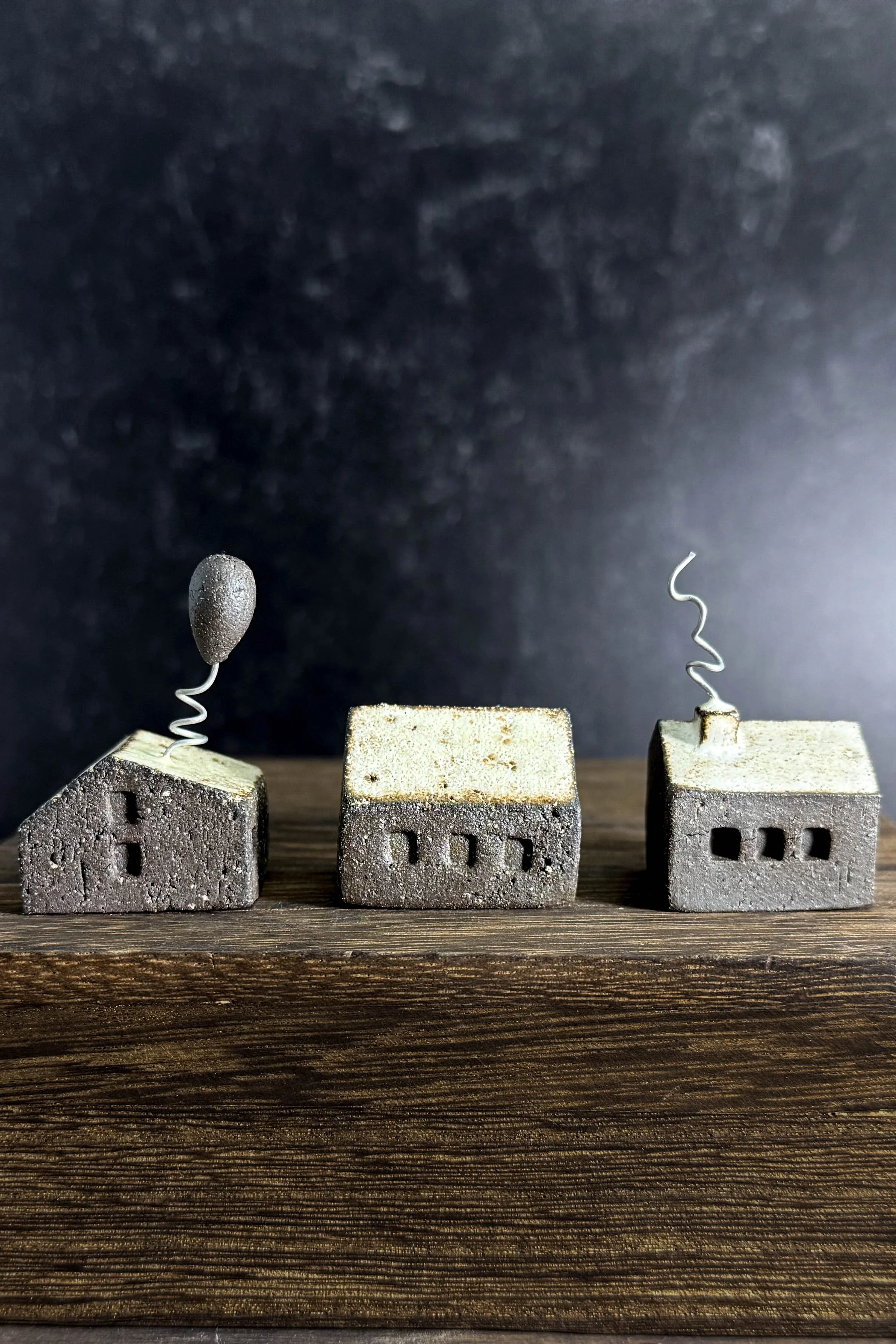 Mini_Houses-19.jpg