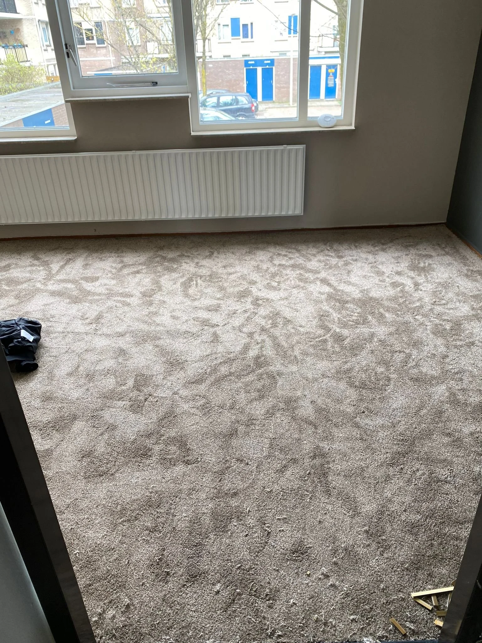 Binnenkant van een kamer met beige tapijt en een groot raam dat uitkijkt op een straat met blauwe deurlak, een auto en huizen.