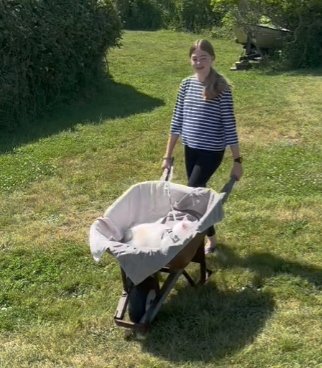 The Kitten Transportation Methods