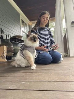 Echo and Ember’s Journey