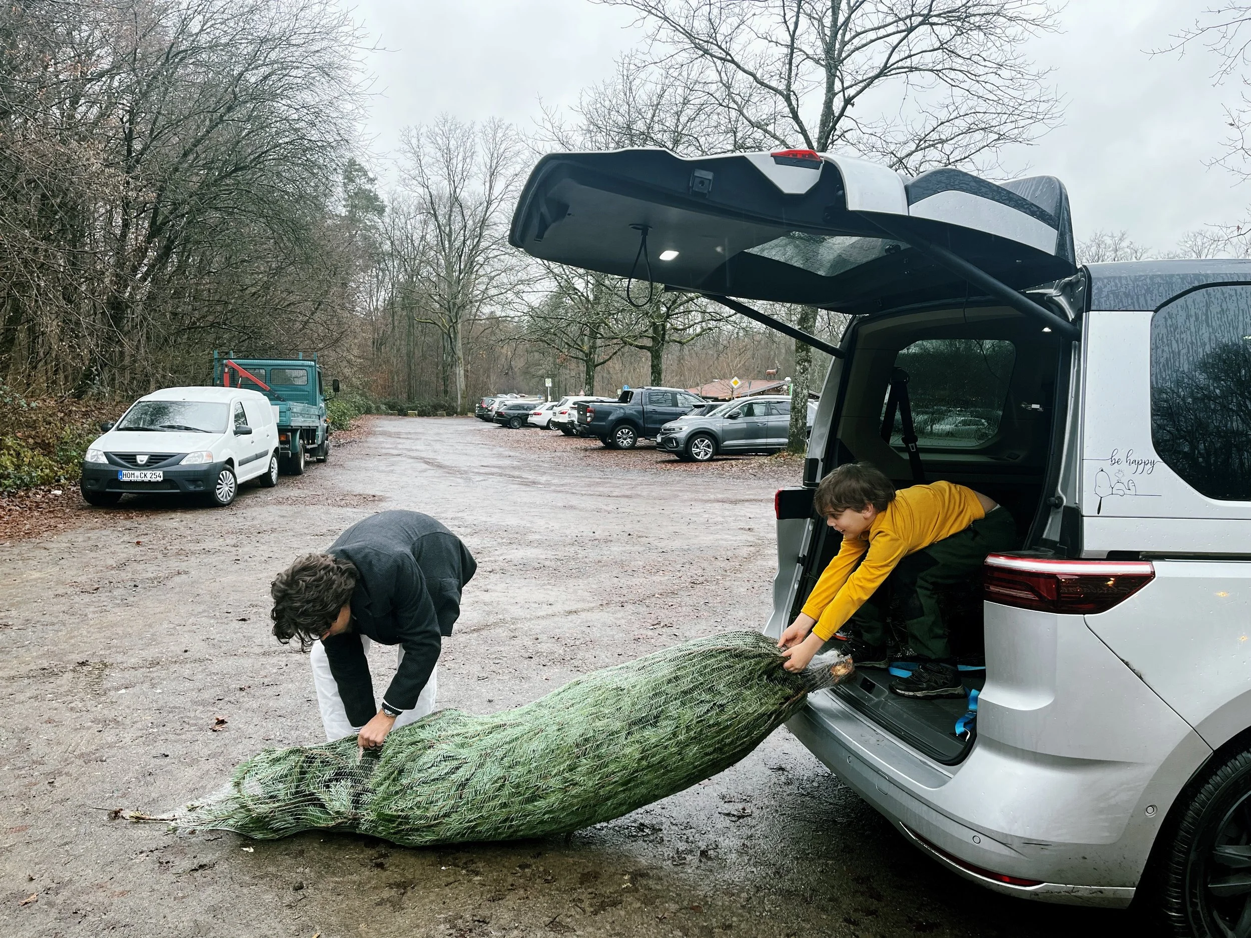 Zwei Jungen laden einen eingetopften Weihnachtsbaum aus einem weißen Van, während sie in einer parkähnlichen Umgebung mit Bäumen und anderen geparkten Fahrzeugen sind.