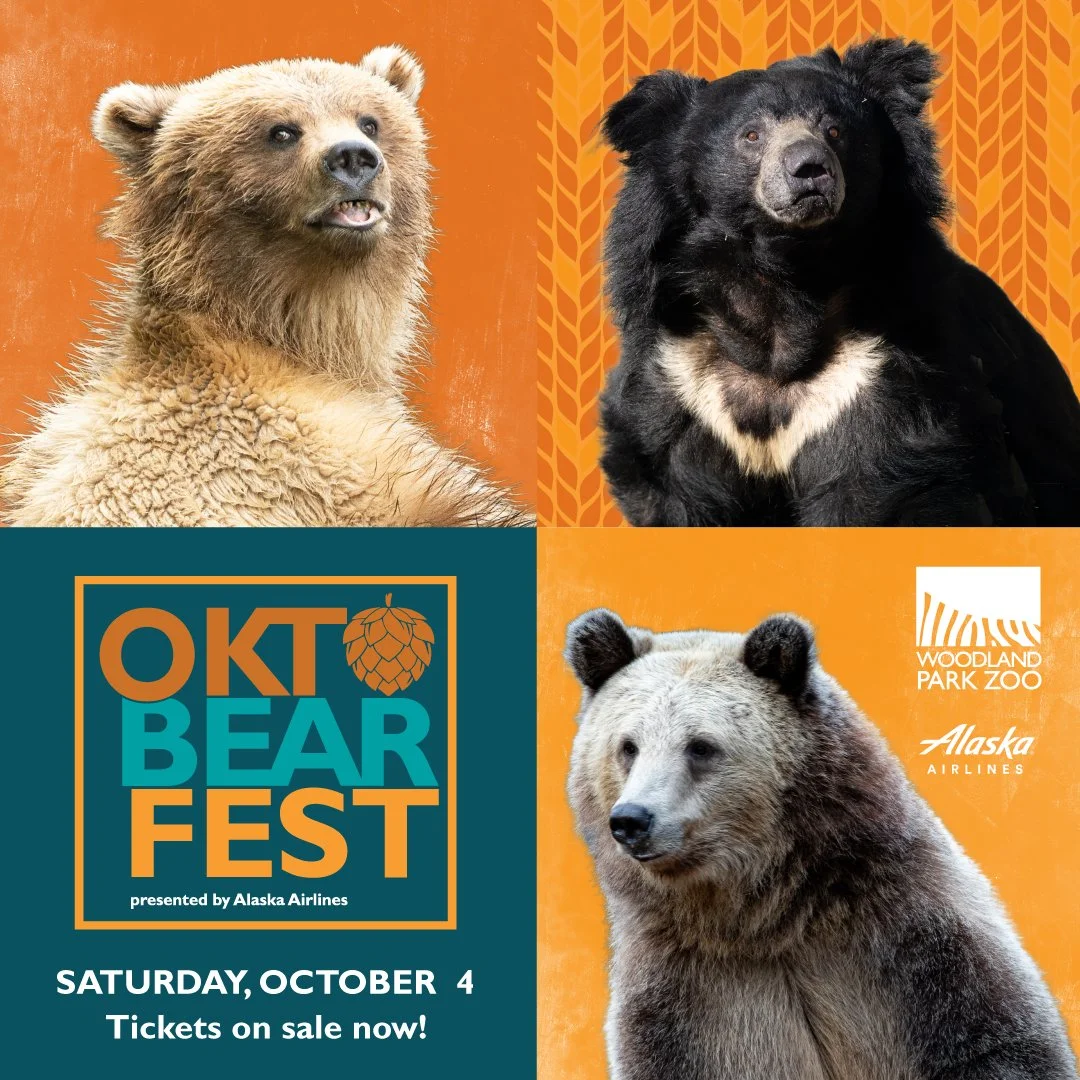 OktoBEARfest