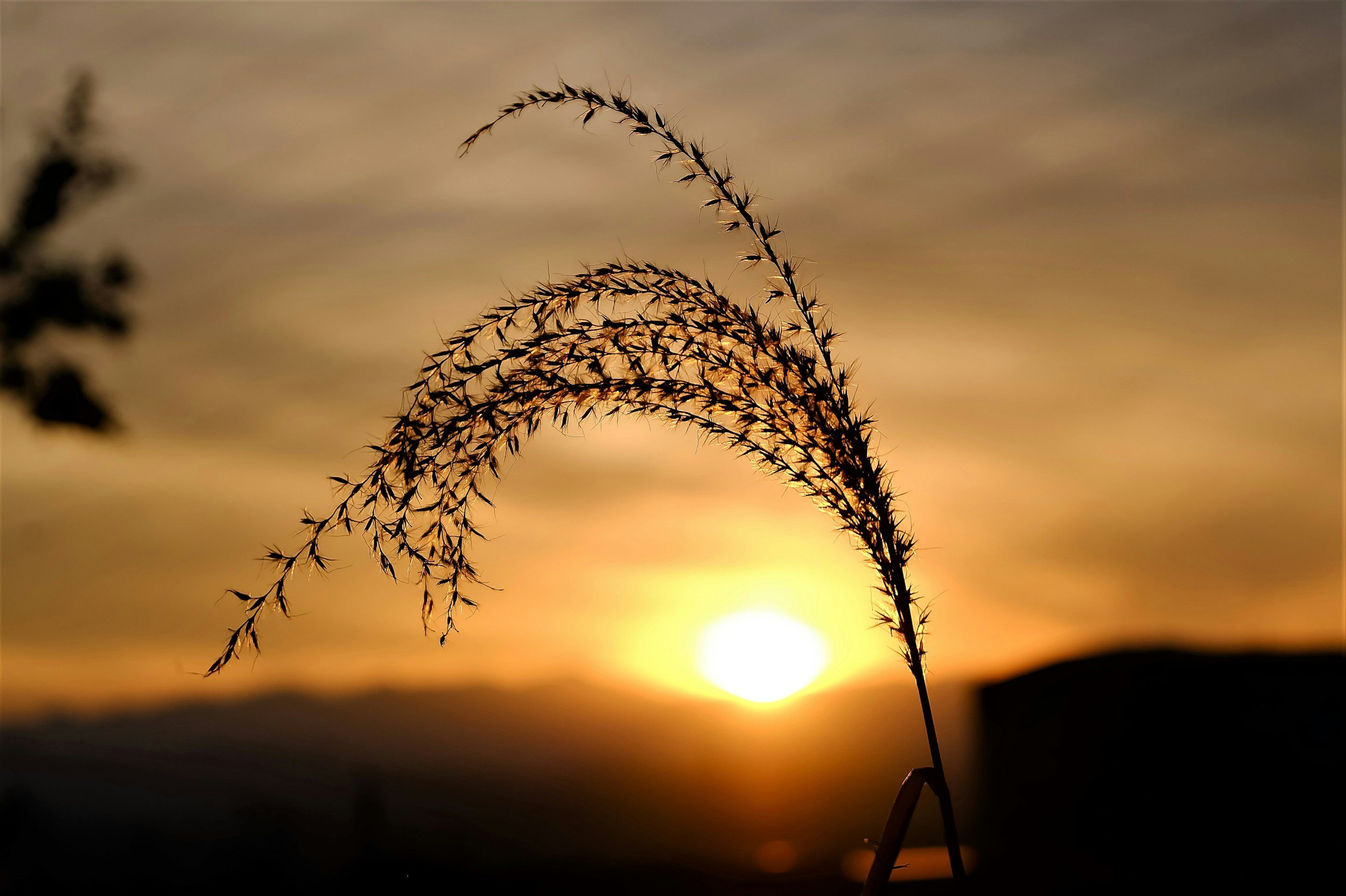 What We Carry: Grief, Remembrance, and the Healing Power of Feeling
