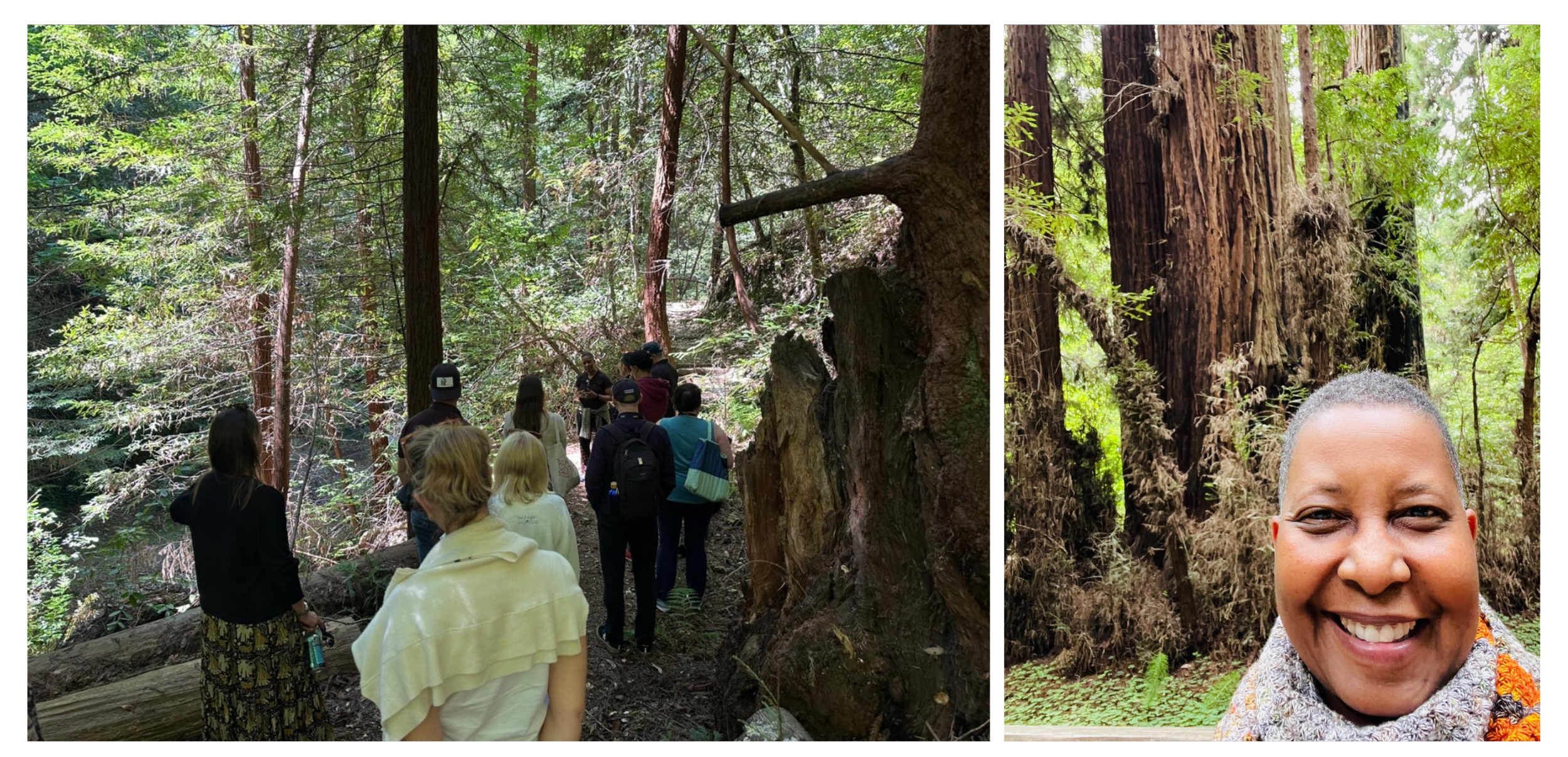 Walking outdoors helps reduce stress and reconnect