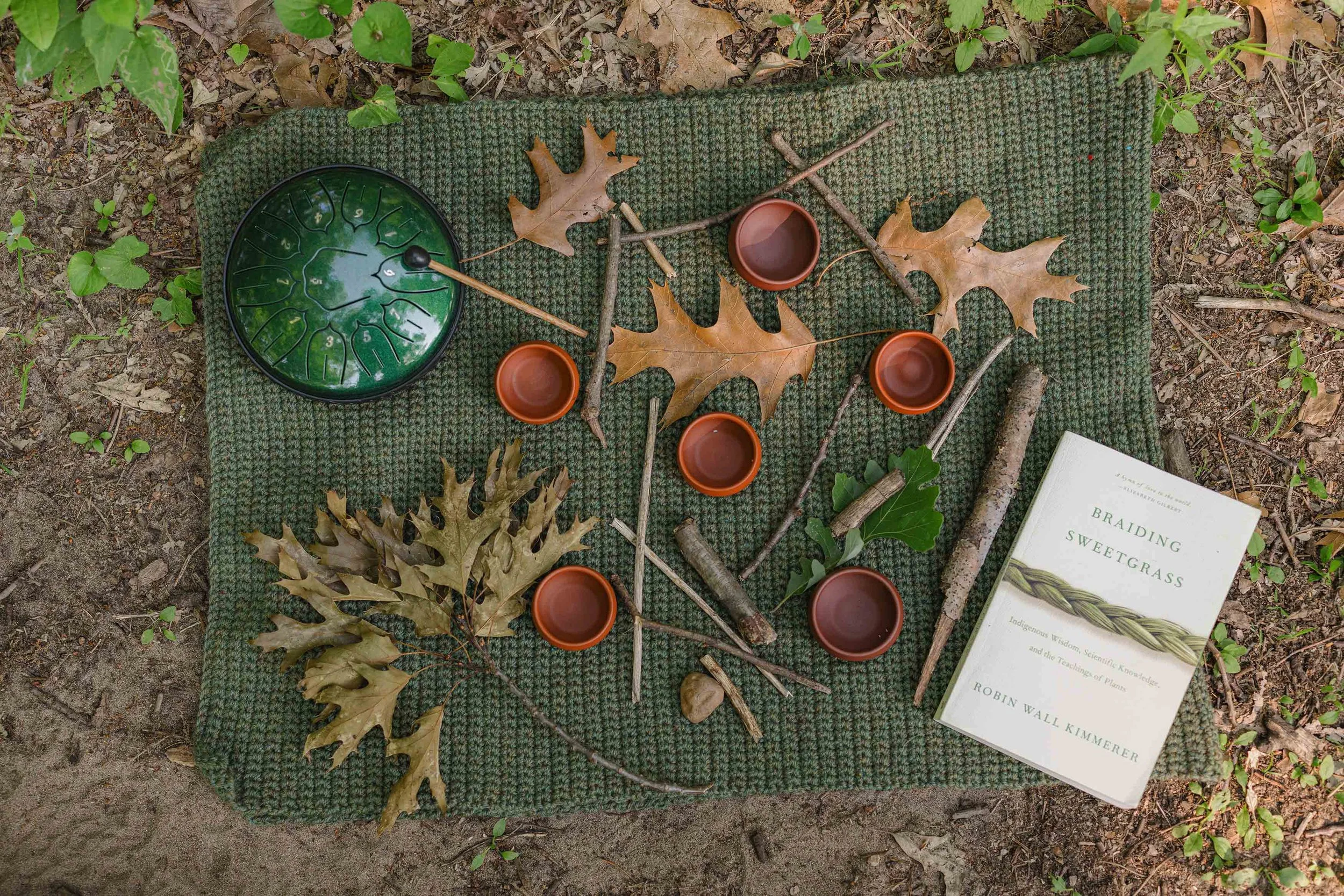 Nature and Forest Therapy Walks