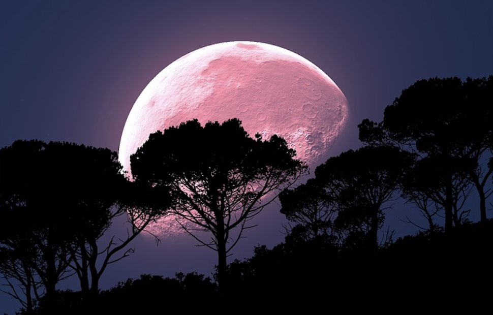 The Strawberry Moon, Seasonal Living & the Courage to Pause