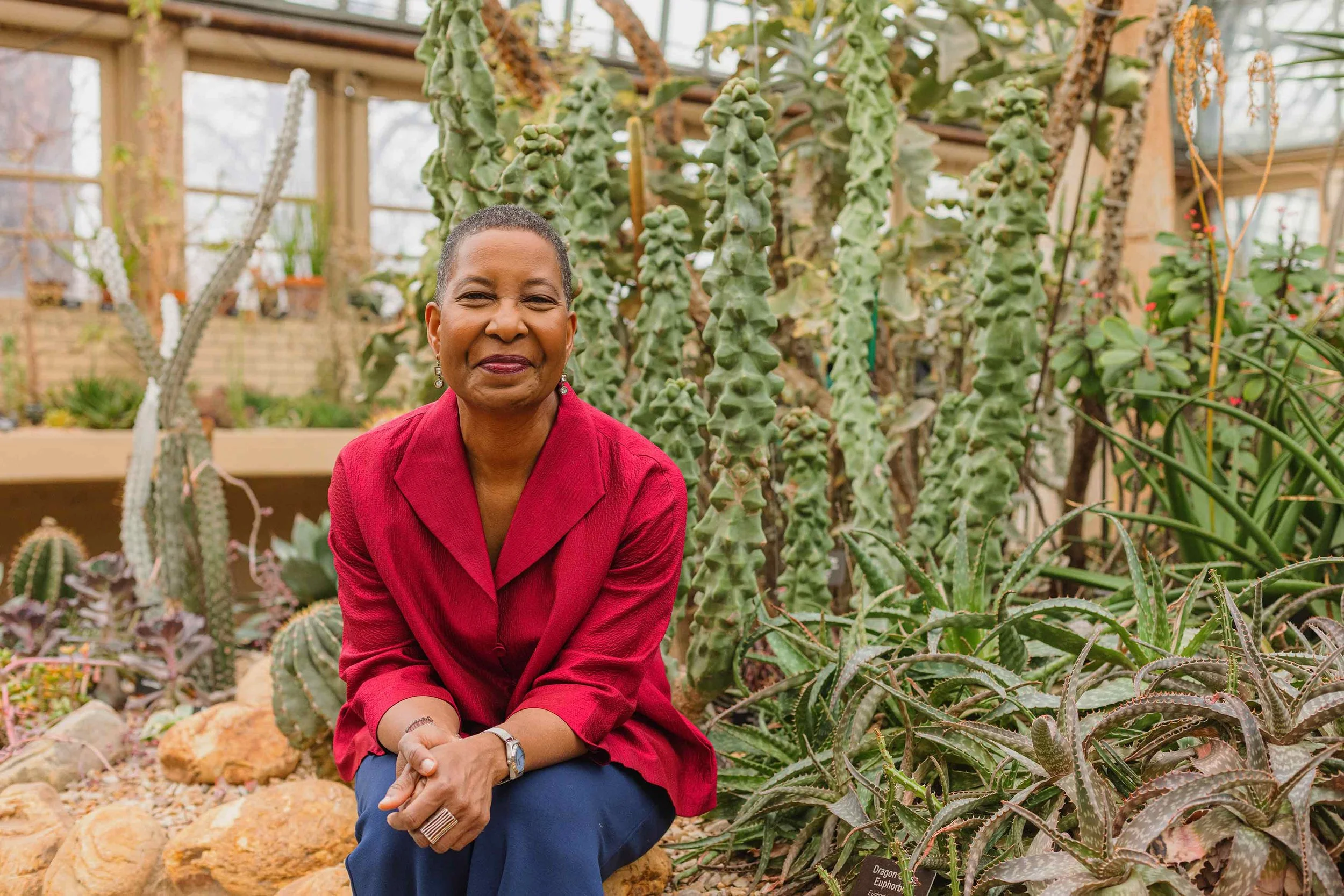 Health Discovery Session