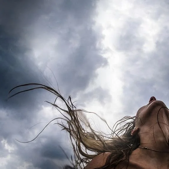 What the Wind knows 