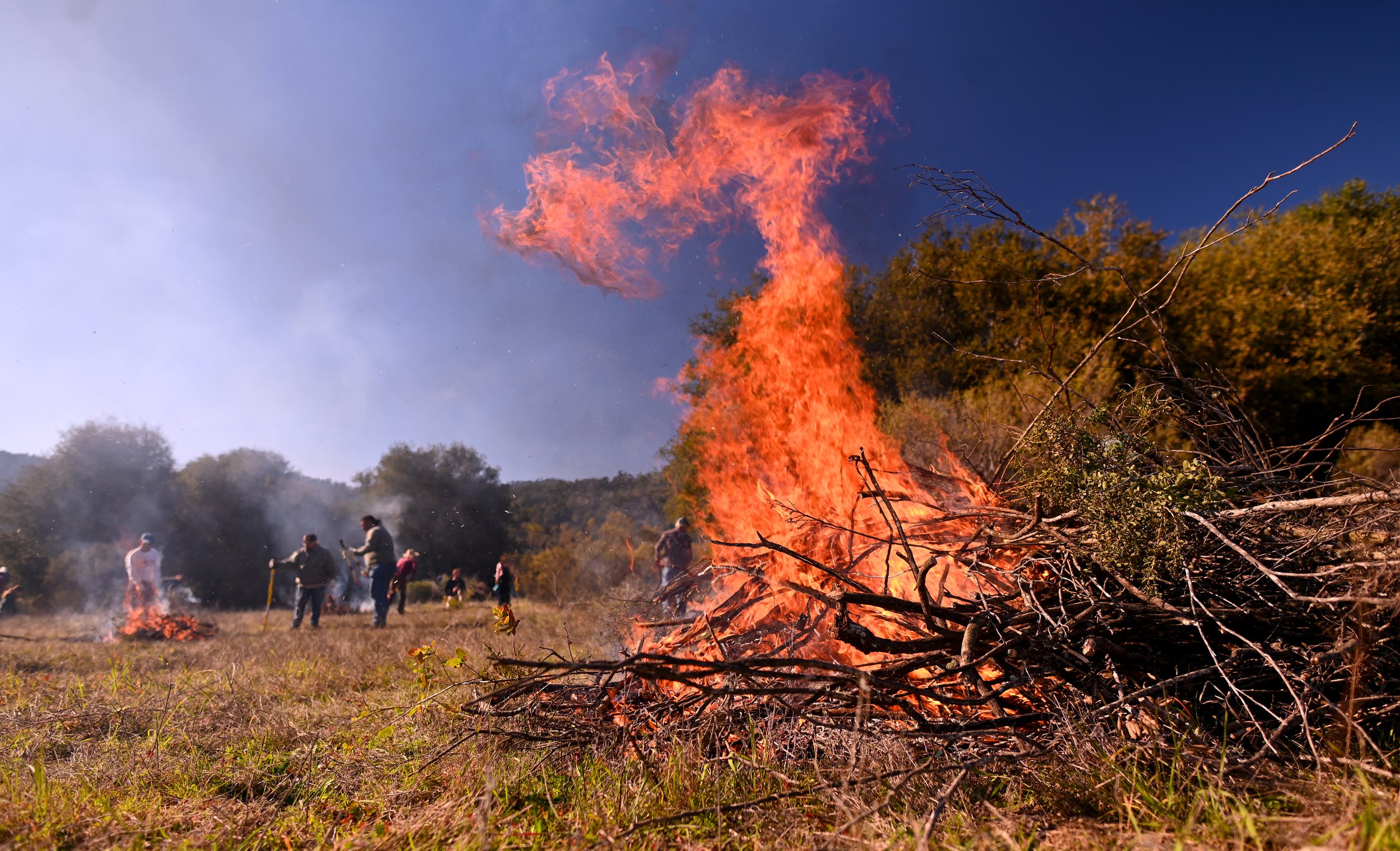 Muwekmah-Cultural-Burn_Marina-Luccioni-4960.jpg