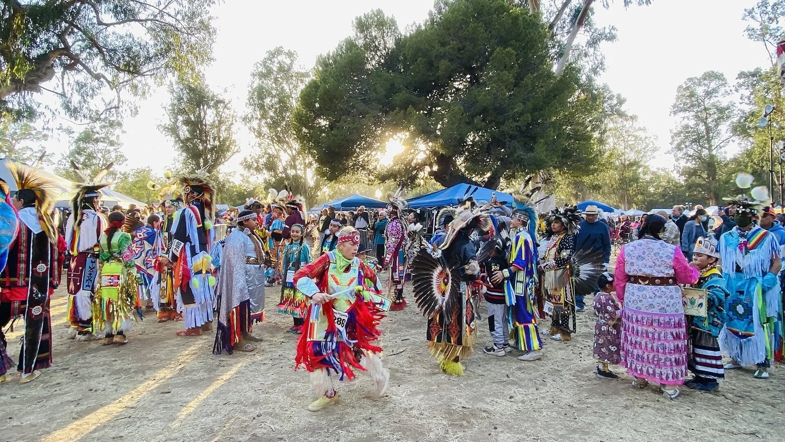 Dozens of dancers in colorful regalia, shawls and feather bustles fill the dance arena under eucalyptus trees.