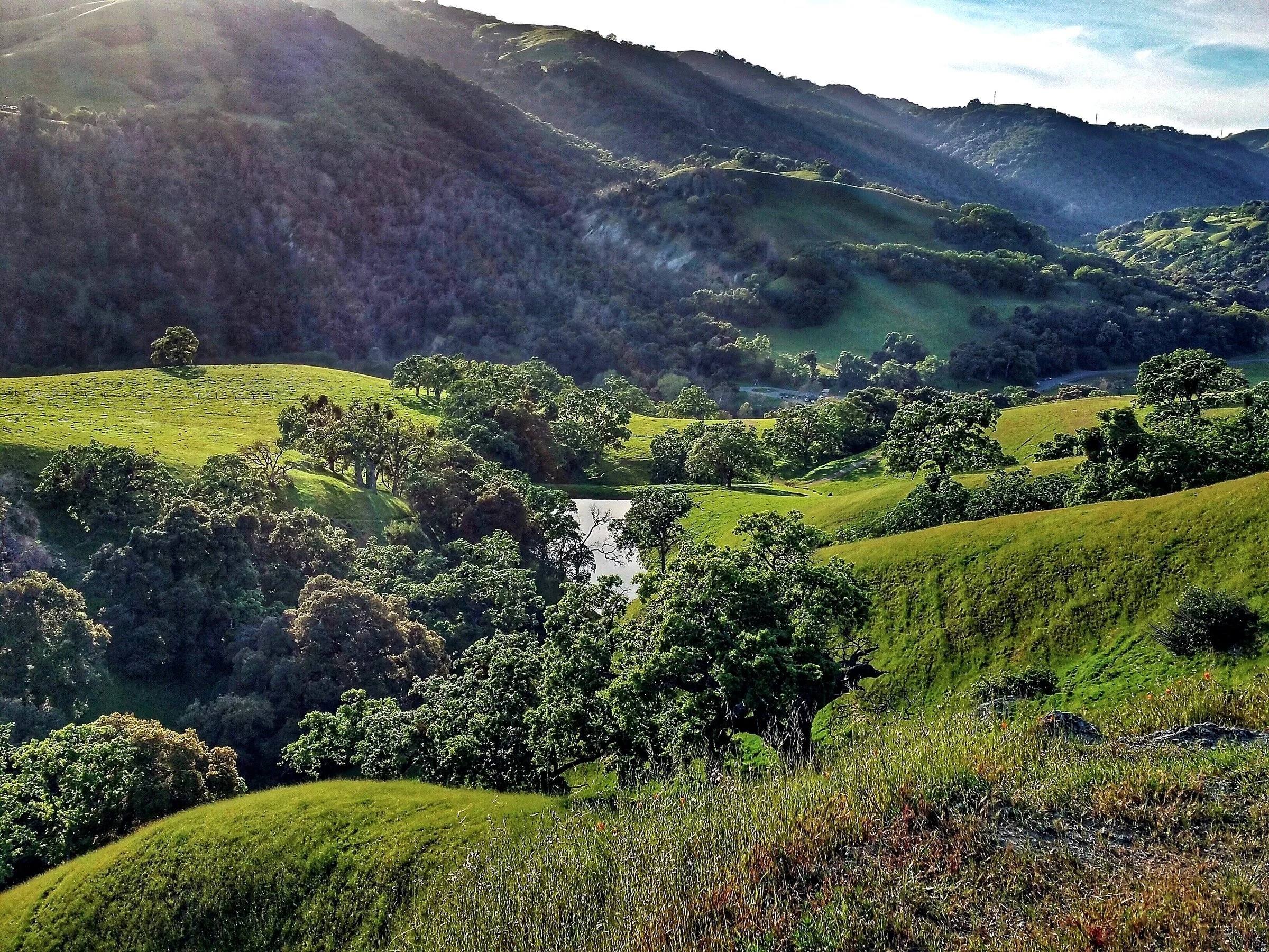 A green valley of oaks and rolling hills opens beneath a sky of scattered clouds in Sunol Regional Wilderness.
