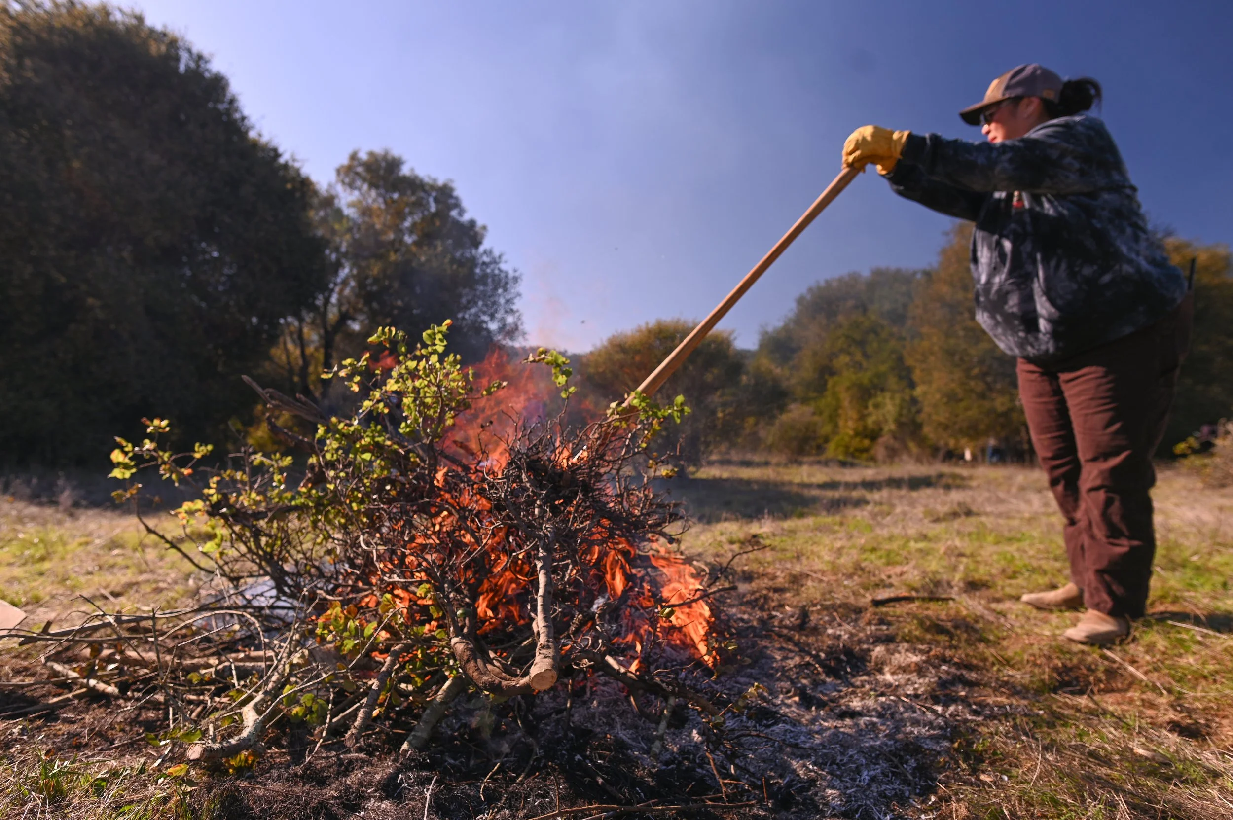 Muwekmah-Cultural-Burn_Marina-Luccioni-5024.jpg