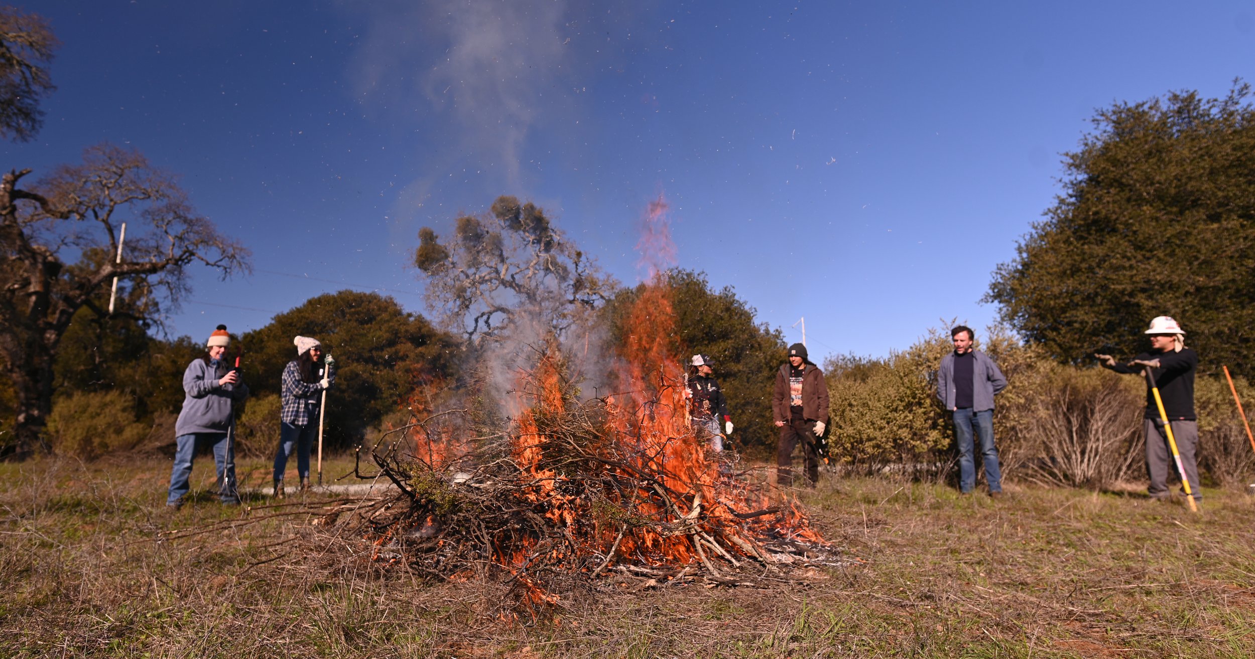Muwekmah-Cultural-Burn_Marina-Luccioni-4687.jpg