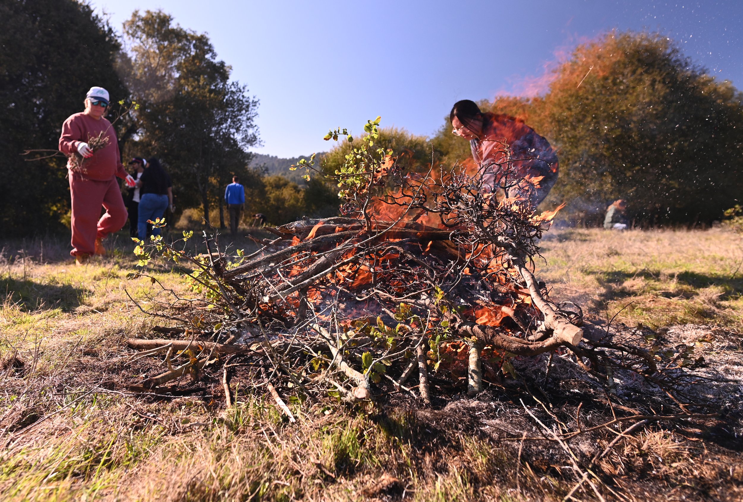 Muwekmah-Cultural-Burn_Marina-Luccioni-5053.jpg