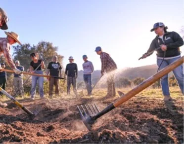 Following North Fork Mono practice, participants rake ash into the topsoil after a pile has burned. Photo: Marina Luccioni, from Golde et al., microPublication Biology (2026), CC BY 4.0; cropped