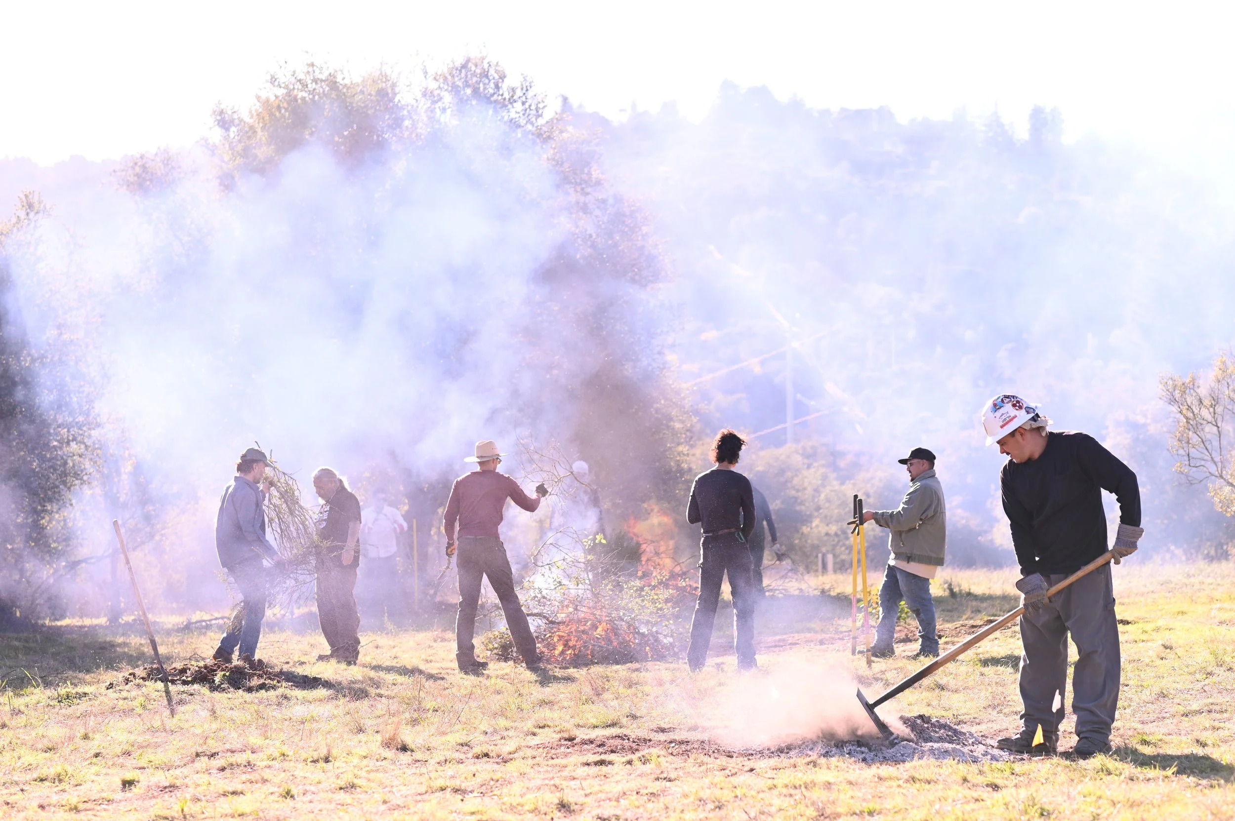 Muwekmah-Cultural-Burn_Marina-Luccioni-6518.jpg