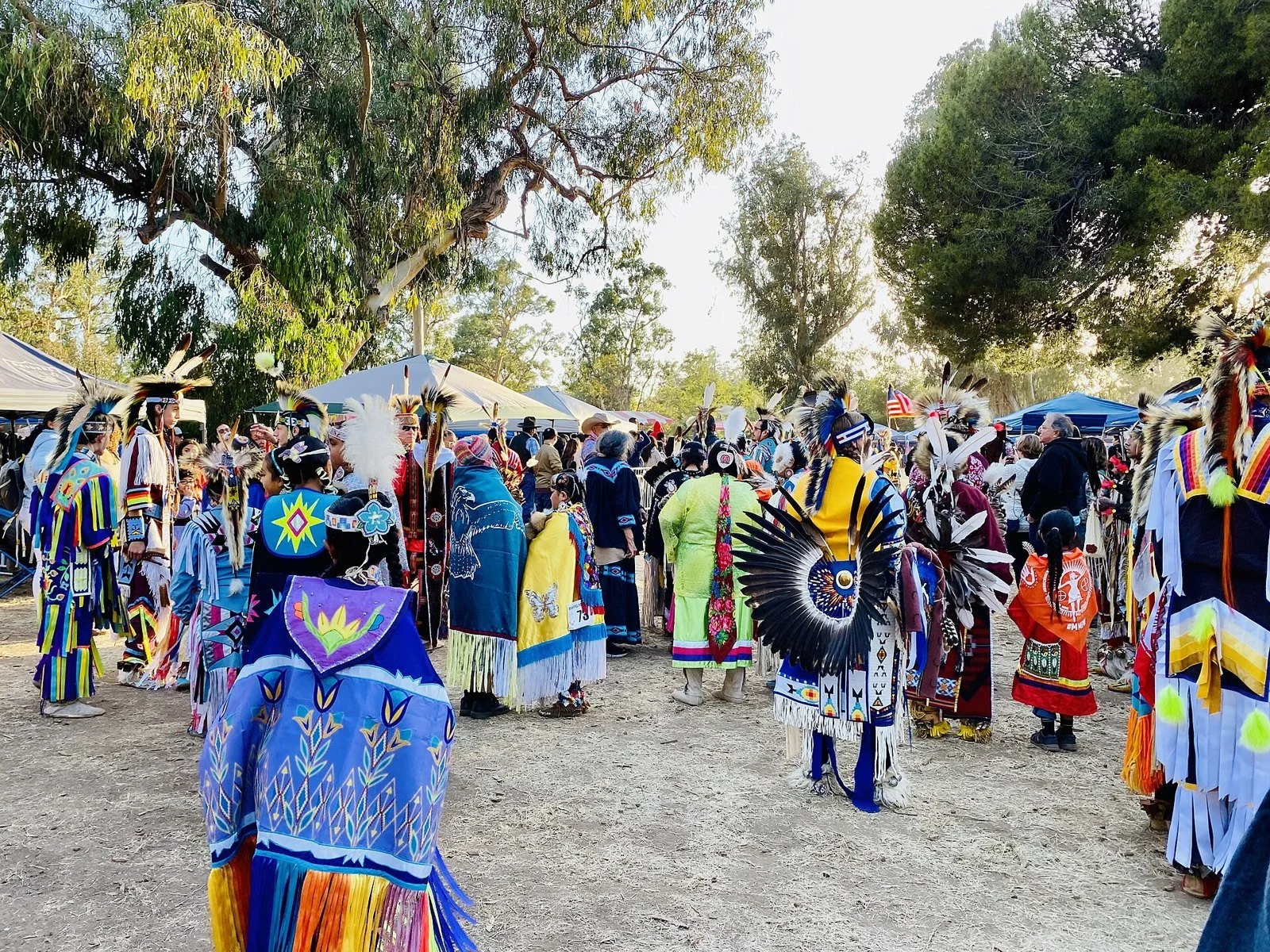 Dancers in jingle dresses and fancy shawls dance in a sunlit arena framed by tall eucalyptus trees.