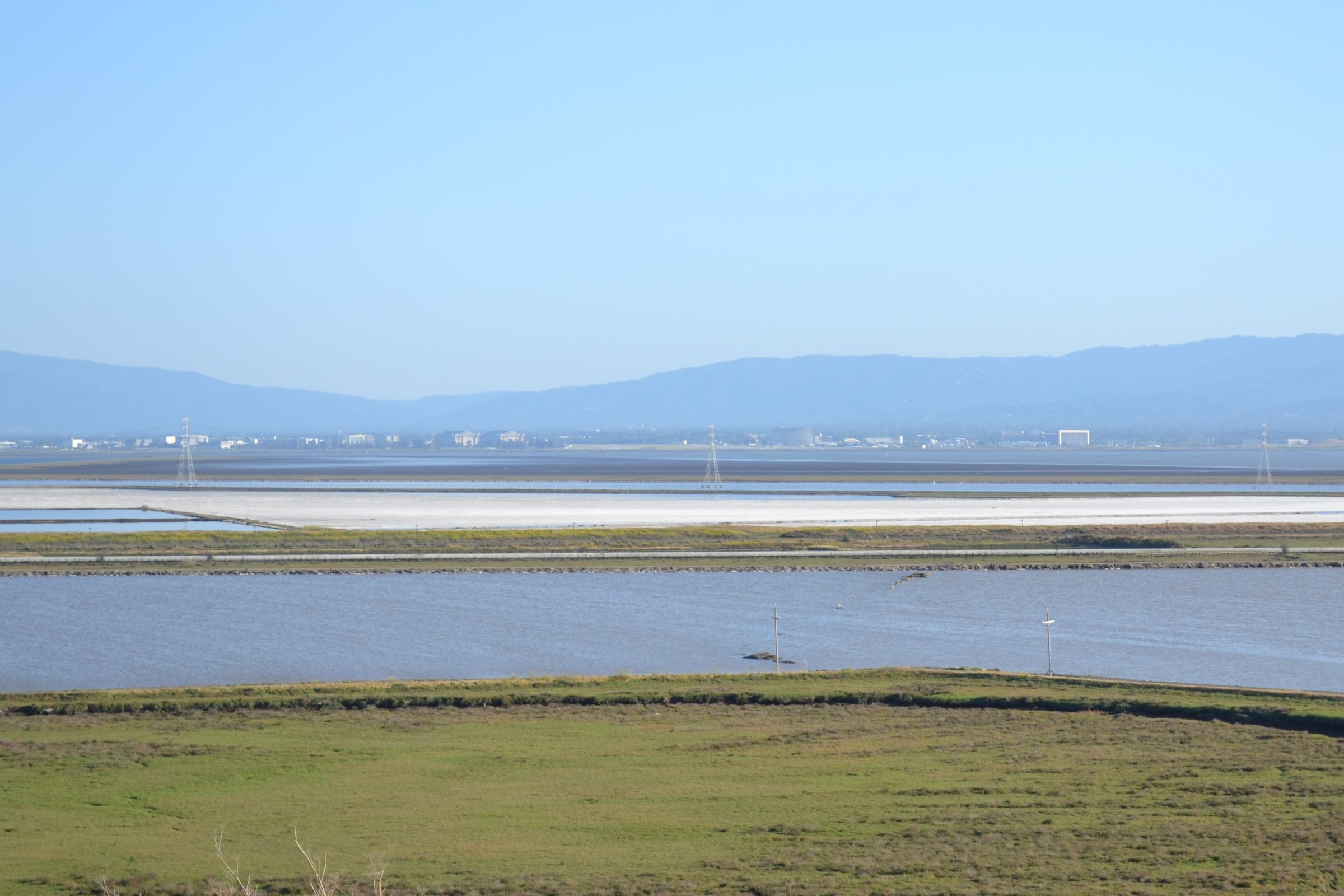 A wide, flat marsh in the Don Edwards refuge, with a strip of grass, a channel of still water and pale salt ponds stretching to blue hills.