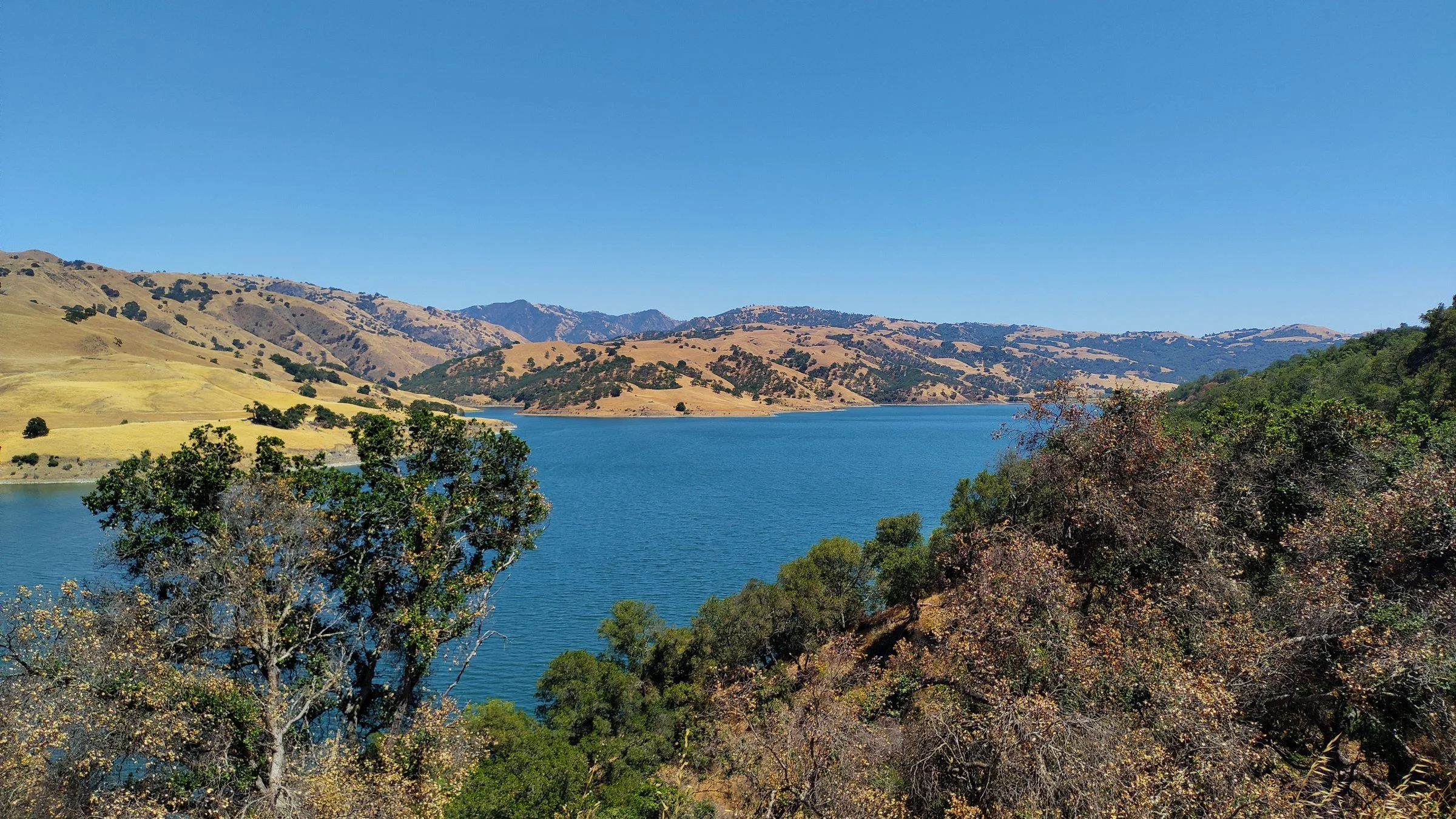 Calaveras Reservoir glitters blue between brushy, oak-dotted hills under a clear June sky.