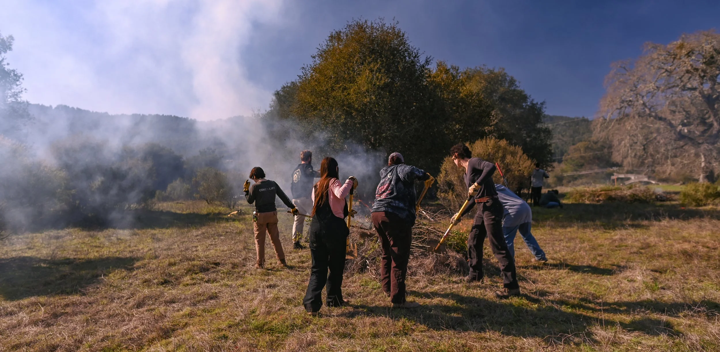 Muwekmah-Cultural-Burn_Marina-Luccioni-5286.jpg