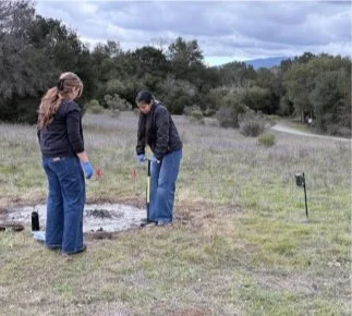 Stanford students collect soil from a burned pile three days after the cultural burn. Photo: Tadashi Fukami, from Golde et al., microPublication Biology (2026), CC BY 4.0; cropped