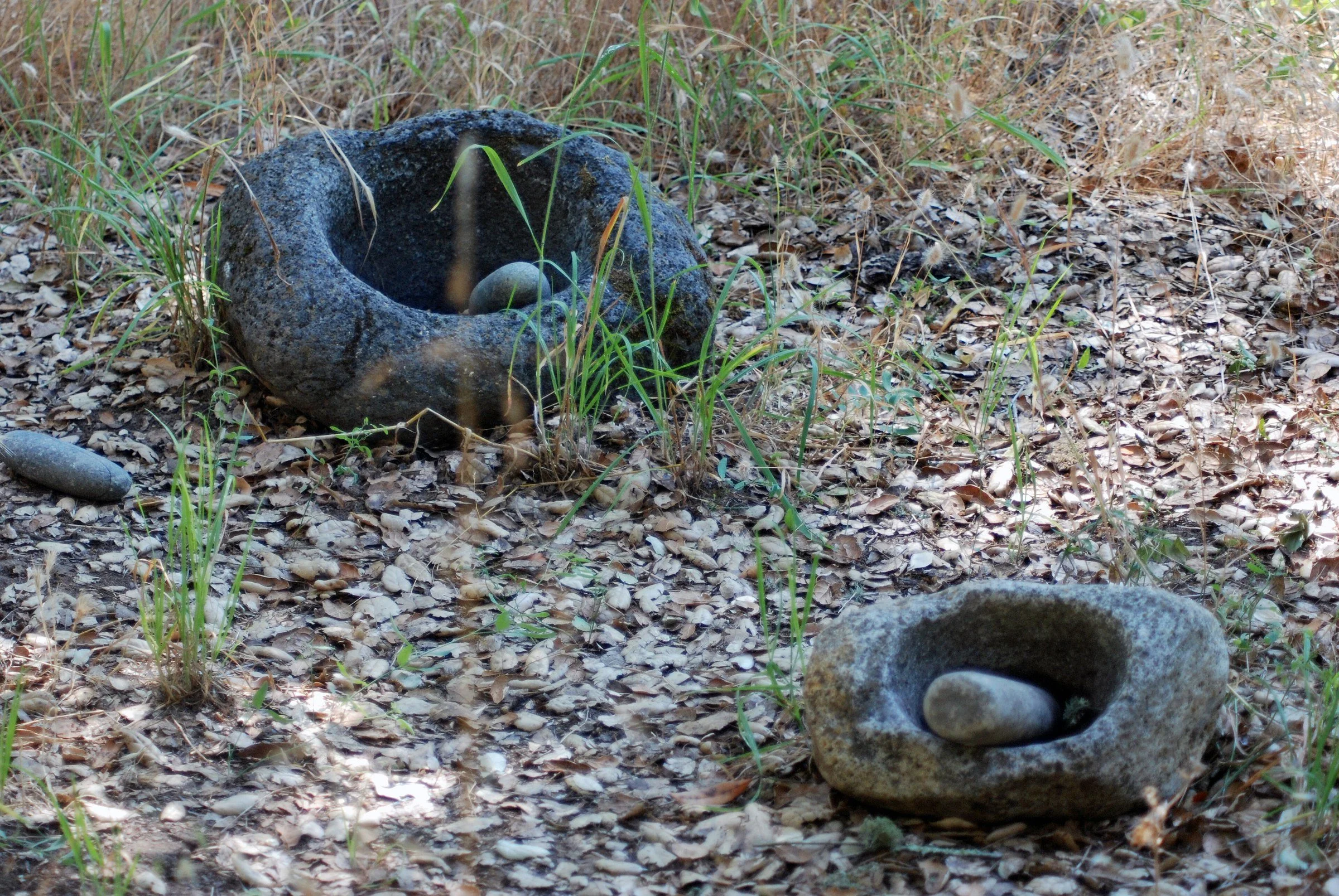 Ohlone mortars and pestles near the Jasper Ridge Biological Preserve field station. Photo: Schmiebel / Wikimedia Commons, CC BY-SA 3.0