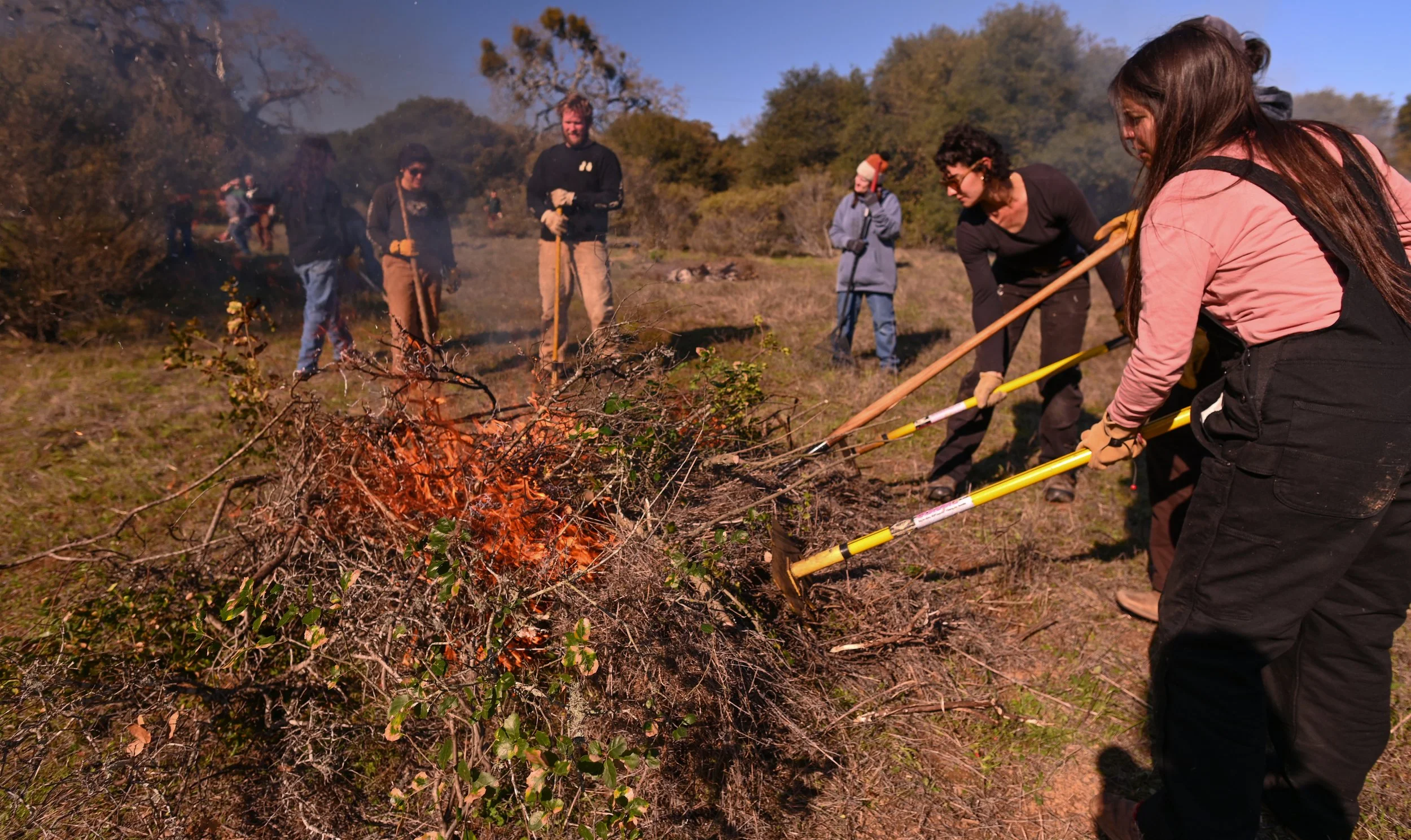 Muwekmah-Cultural-Burn_Marina-Luccioni-5304.jpg
