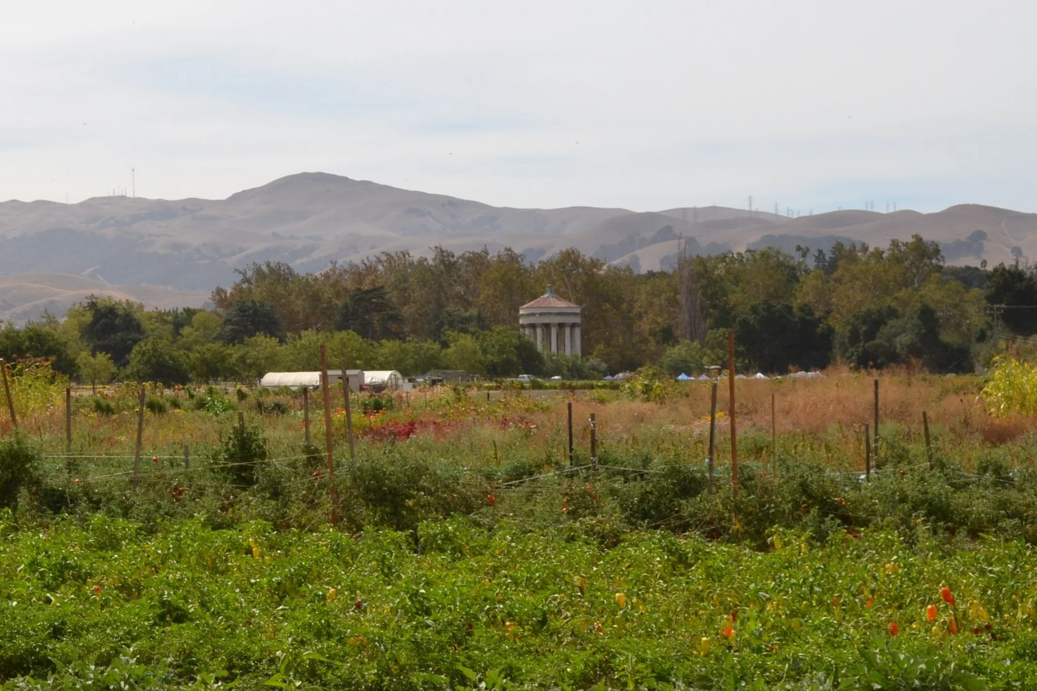The small domed Sunol Water Temple stands beyond a green field and garden plots, with hazy hills behind.