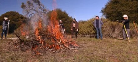 One of the 13 piles burned at ’Ootchamin ’Ooyakma on Jan. 23, 2026. Photo: Marina Luccioni, from Golde et al., microPublication Biology (2026), CC BY 4.0; cropped