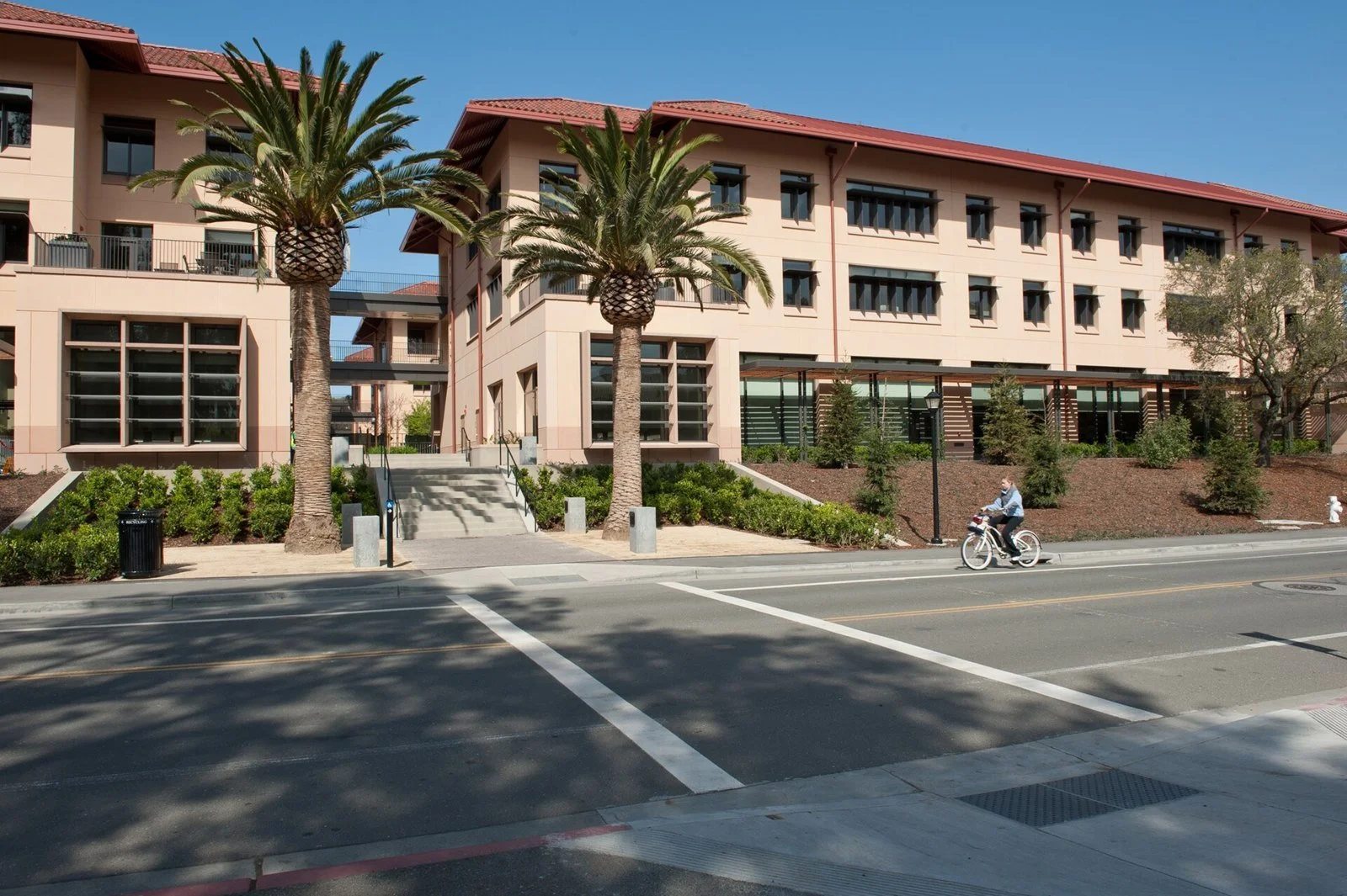 Modern stone-and-glass buildings of the Stanford Knight Management Center arranged around a landscaped courtyard.