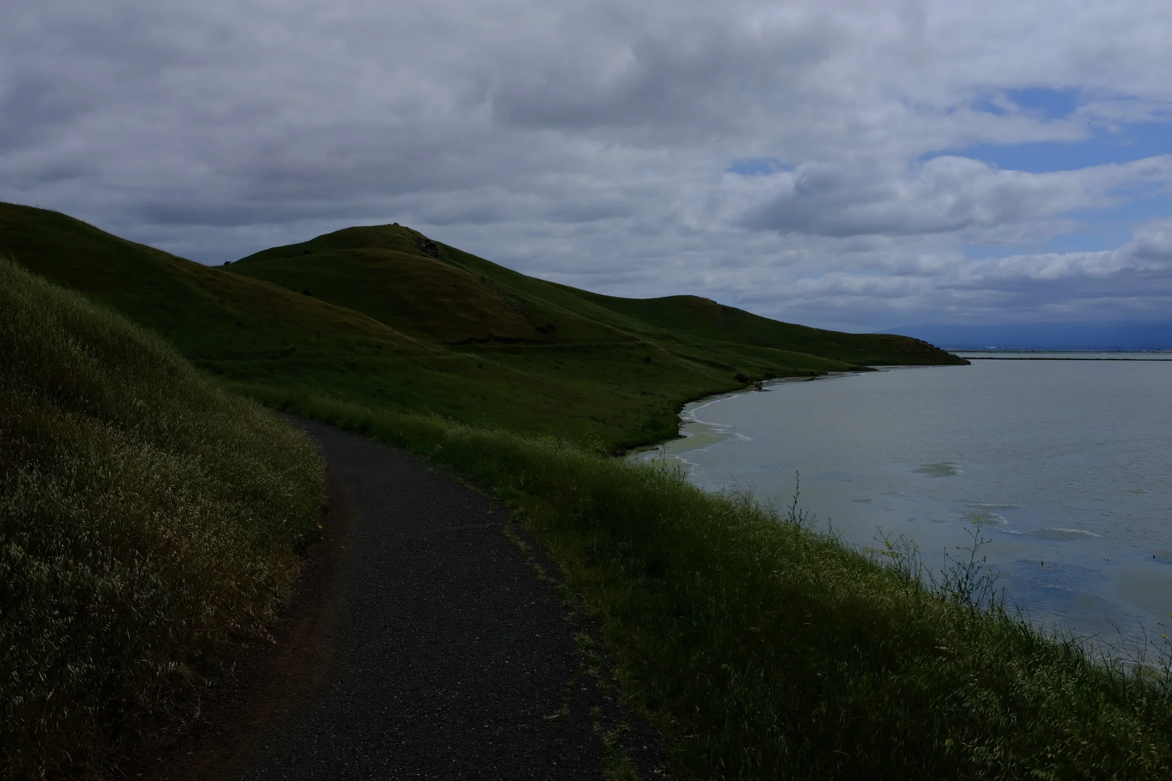 A paved trail curves along a green hillside above calm water at Coyote Hills under a heavy, cloudy sky.