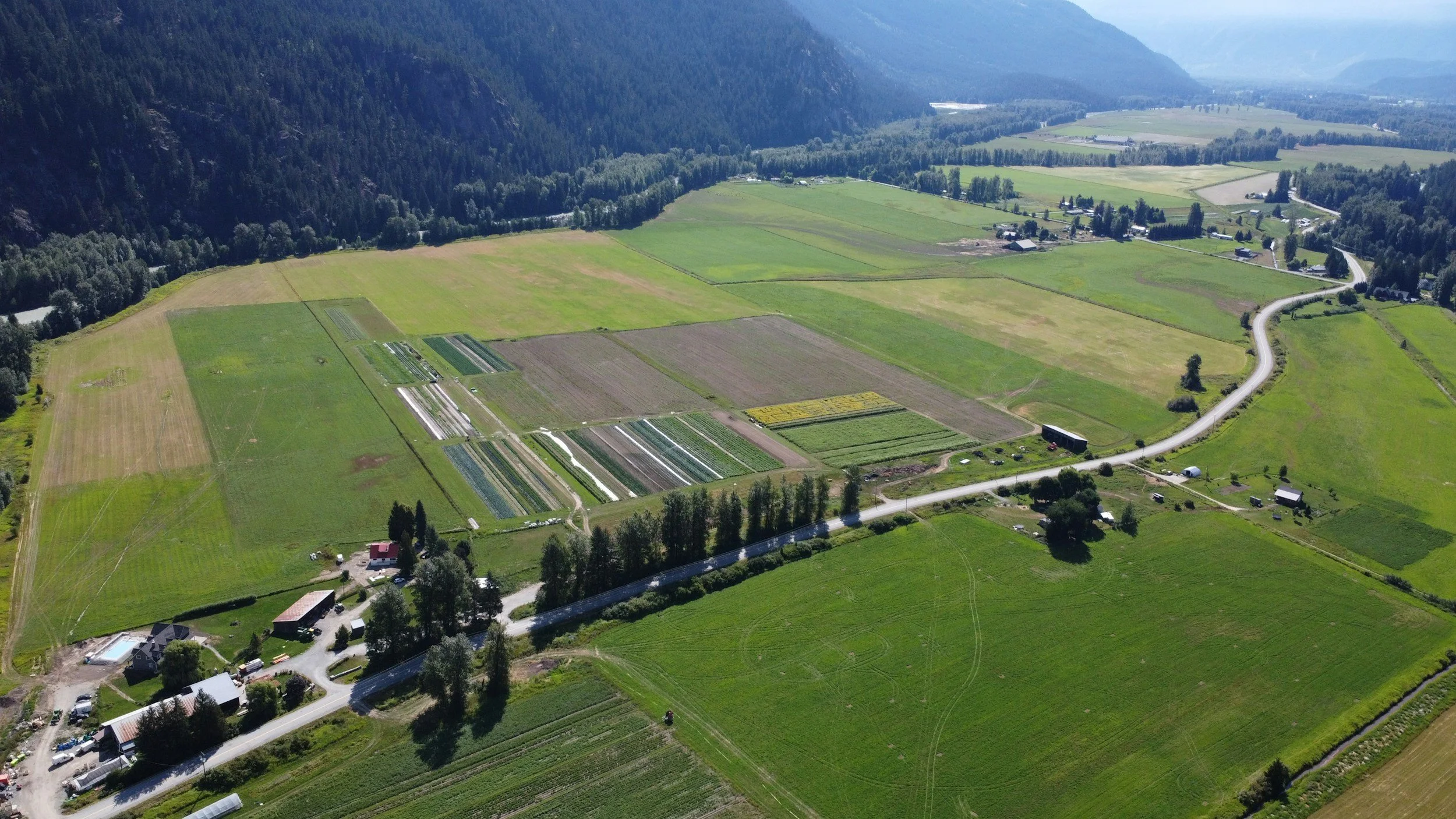 farm aerial picture