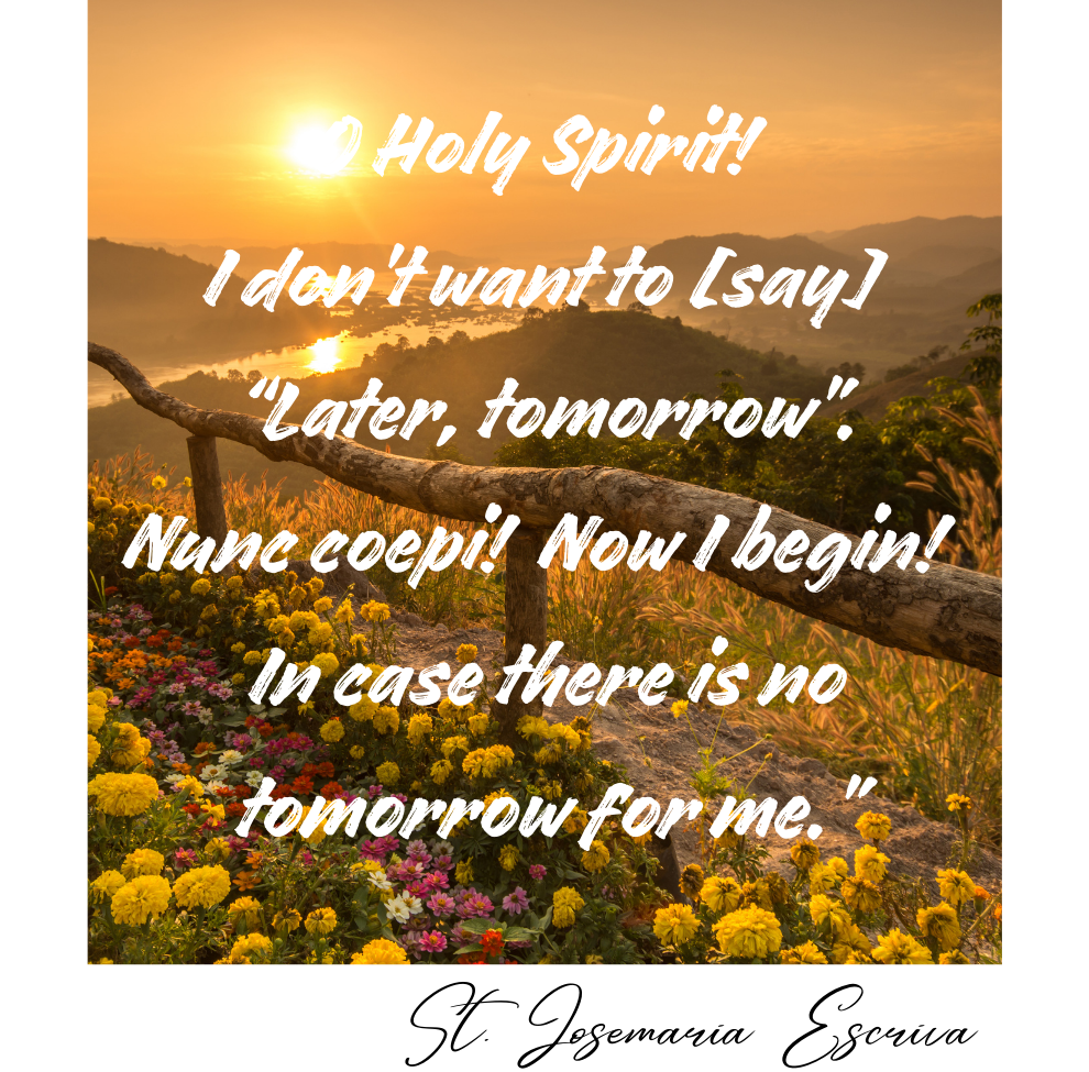 Now I begin! Josemaria.png