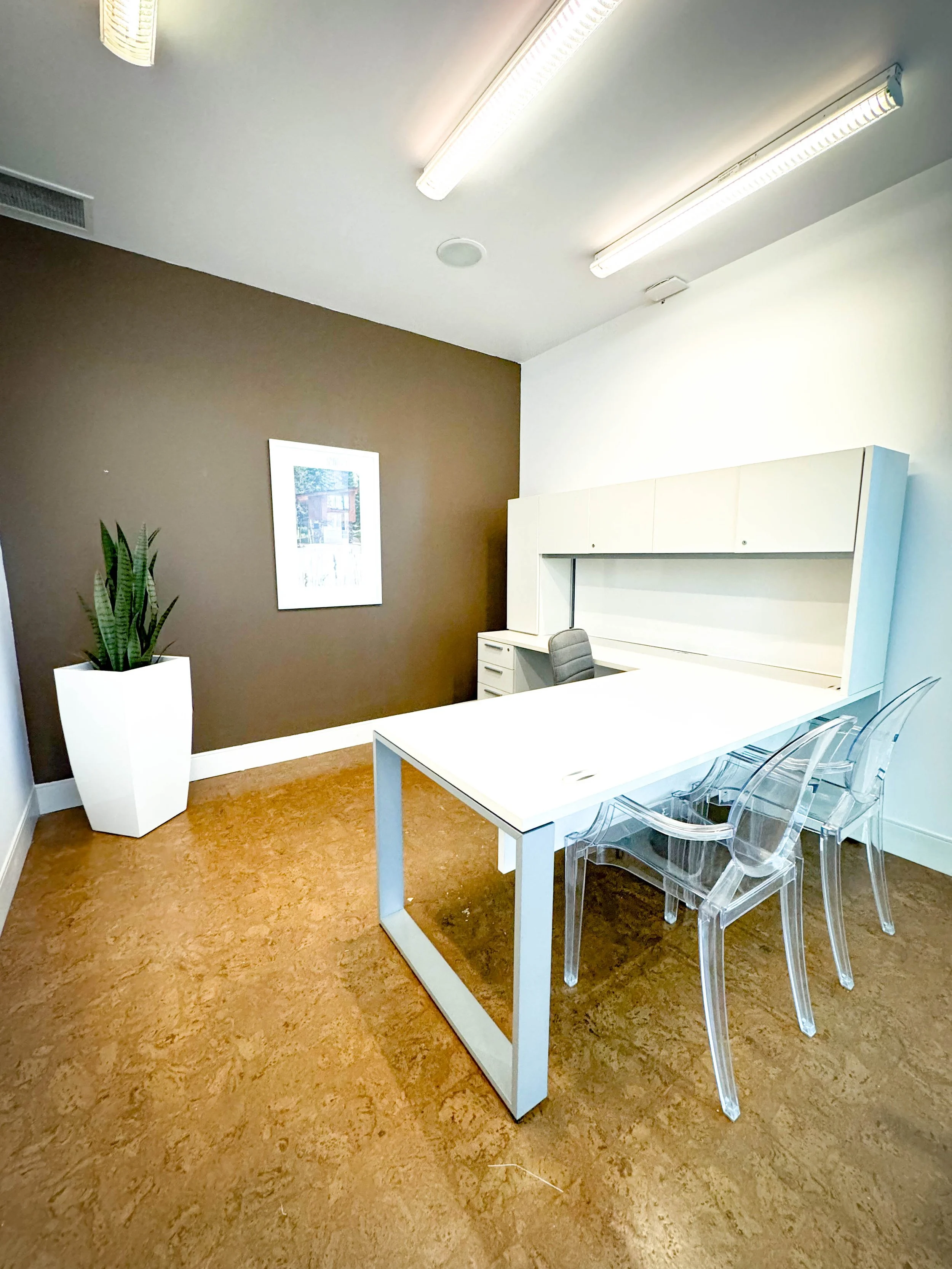 An office room with a white desk, three clear plastic chairs, a brown accent wall with a framed picture, a potted plant, and overhead fluorescent lighting.