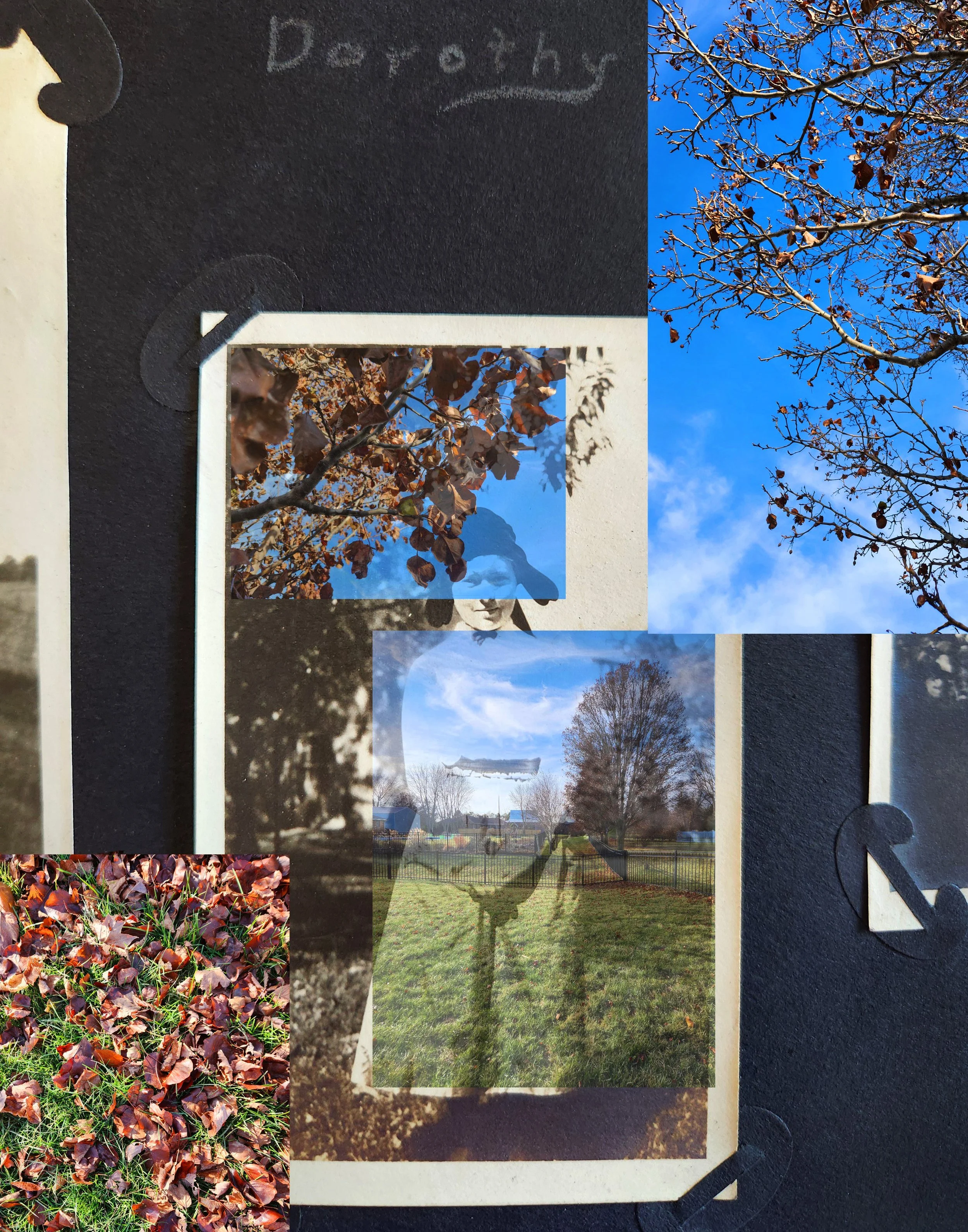 Dorothy_Amanda Warner Fruits_001.jpg