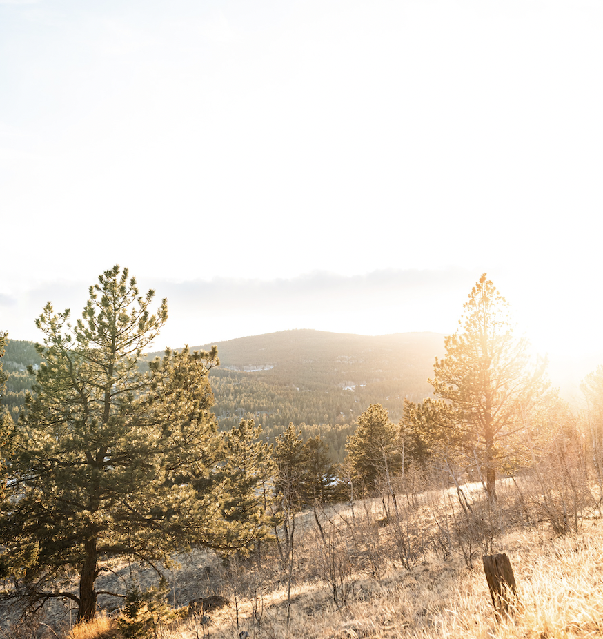 Screenshot 2025-03-16 at 11.32.37 AM.png