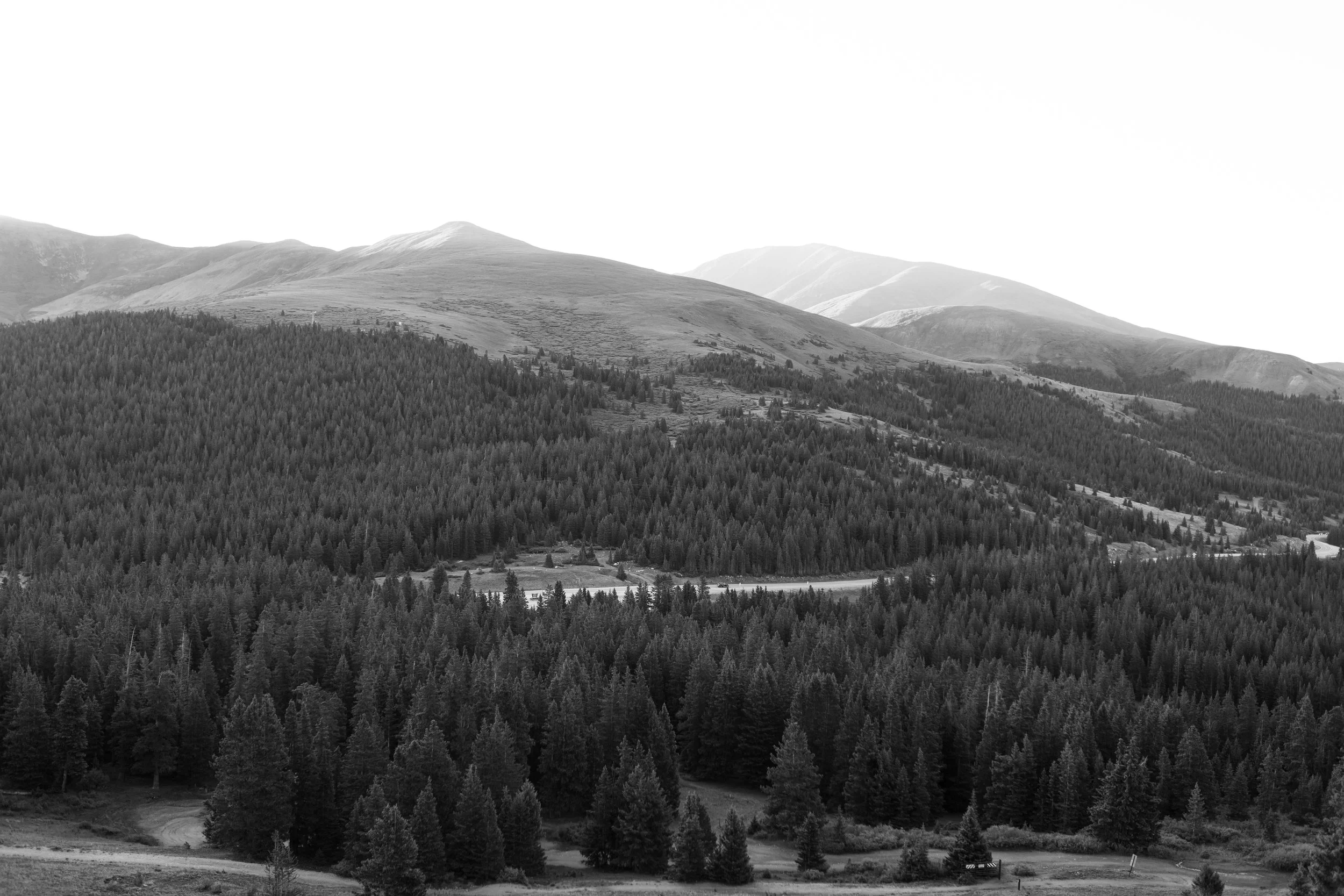0W5A0173.jpg