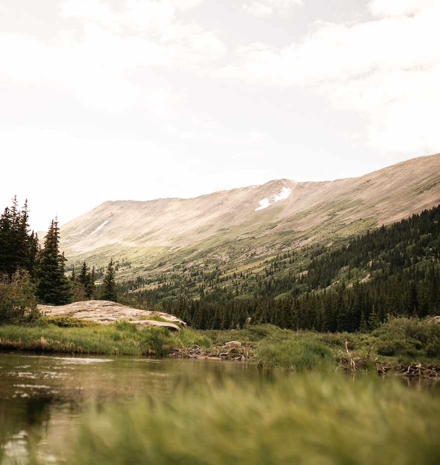 Screenshot 2025-03-16 at 11.29.22 AM.png