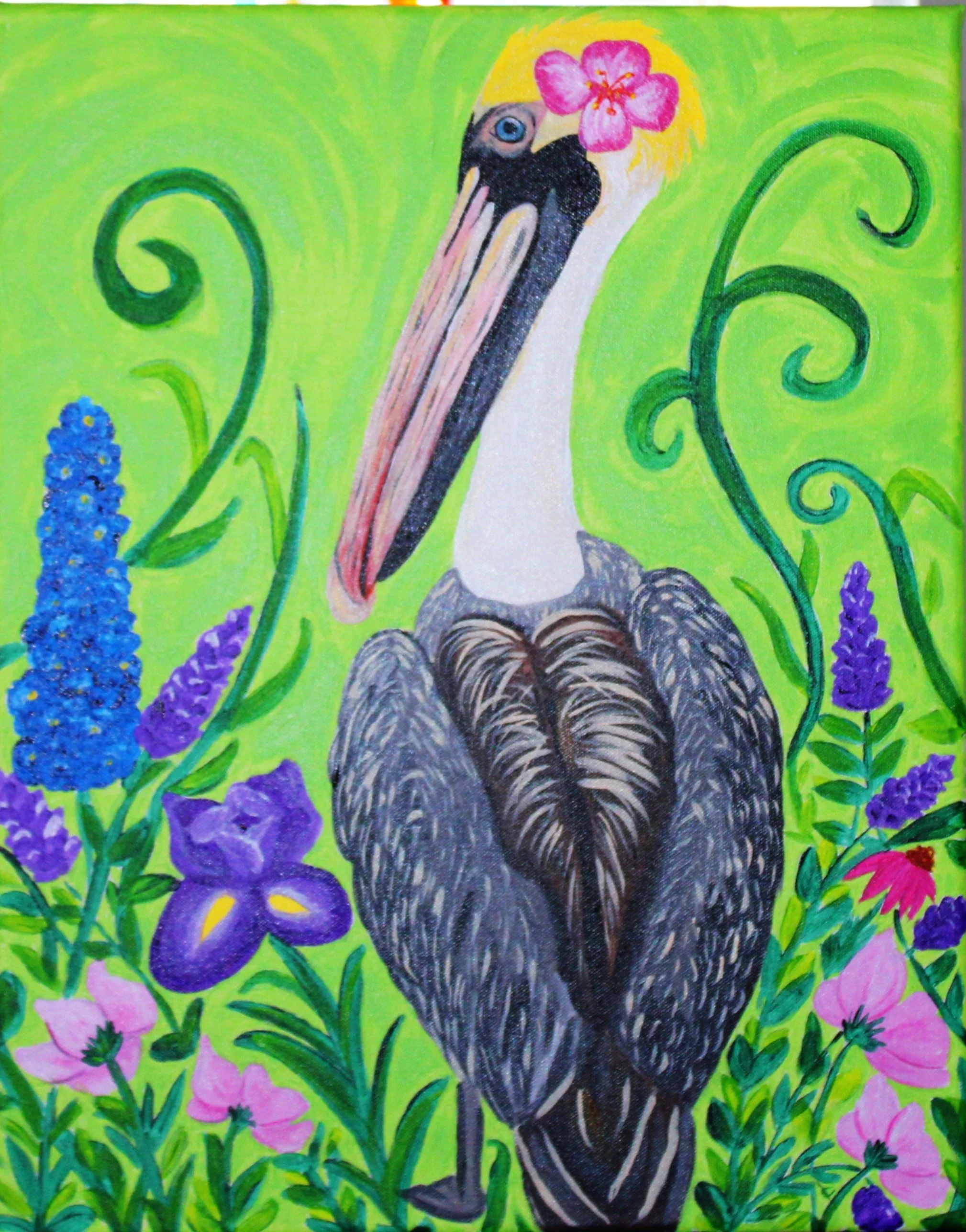Springtime Pelican.JPG