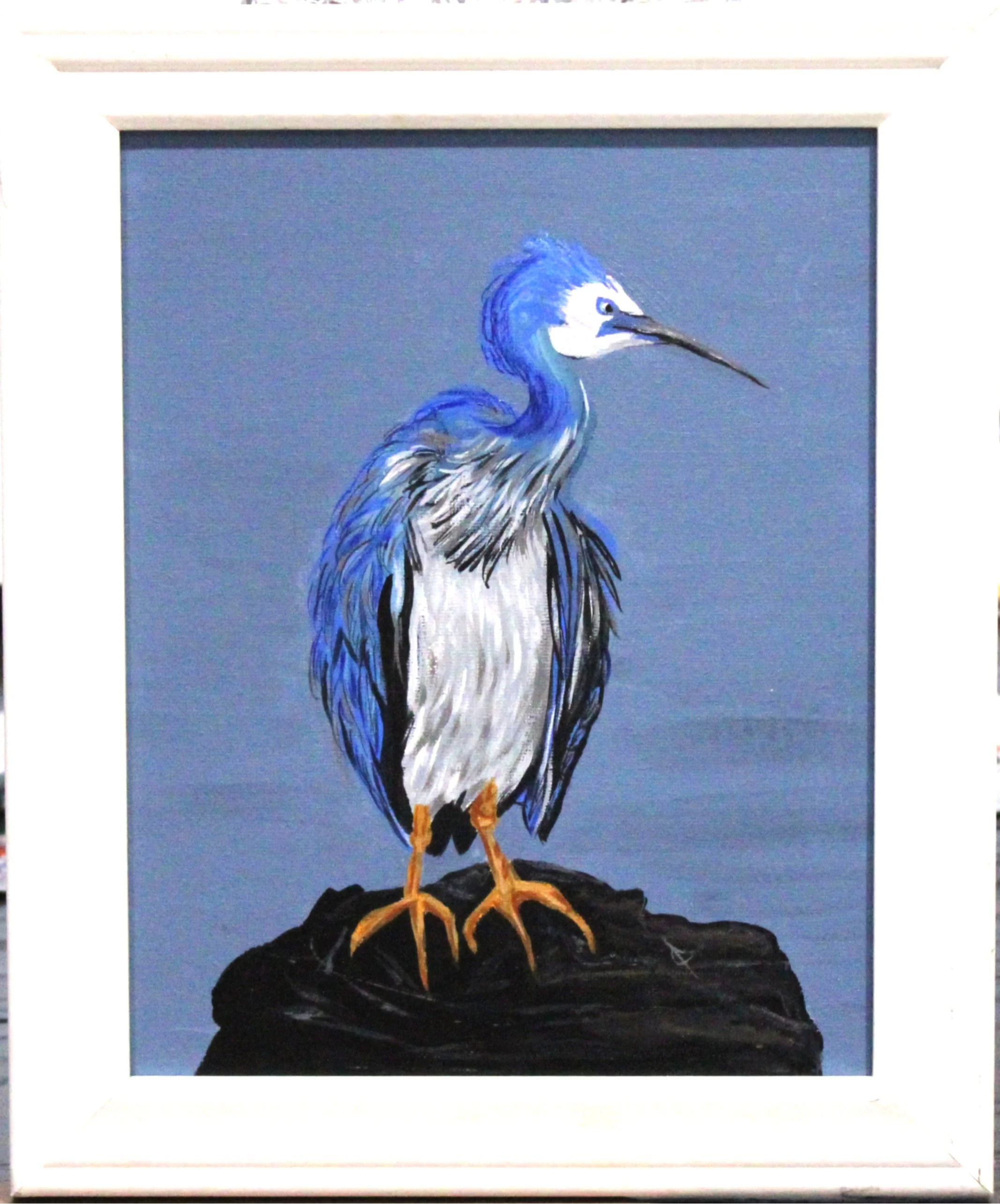 White face heron framed edited.JPG