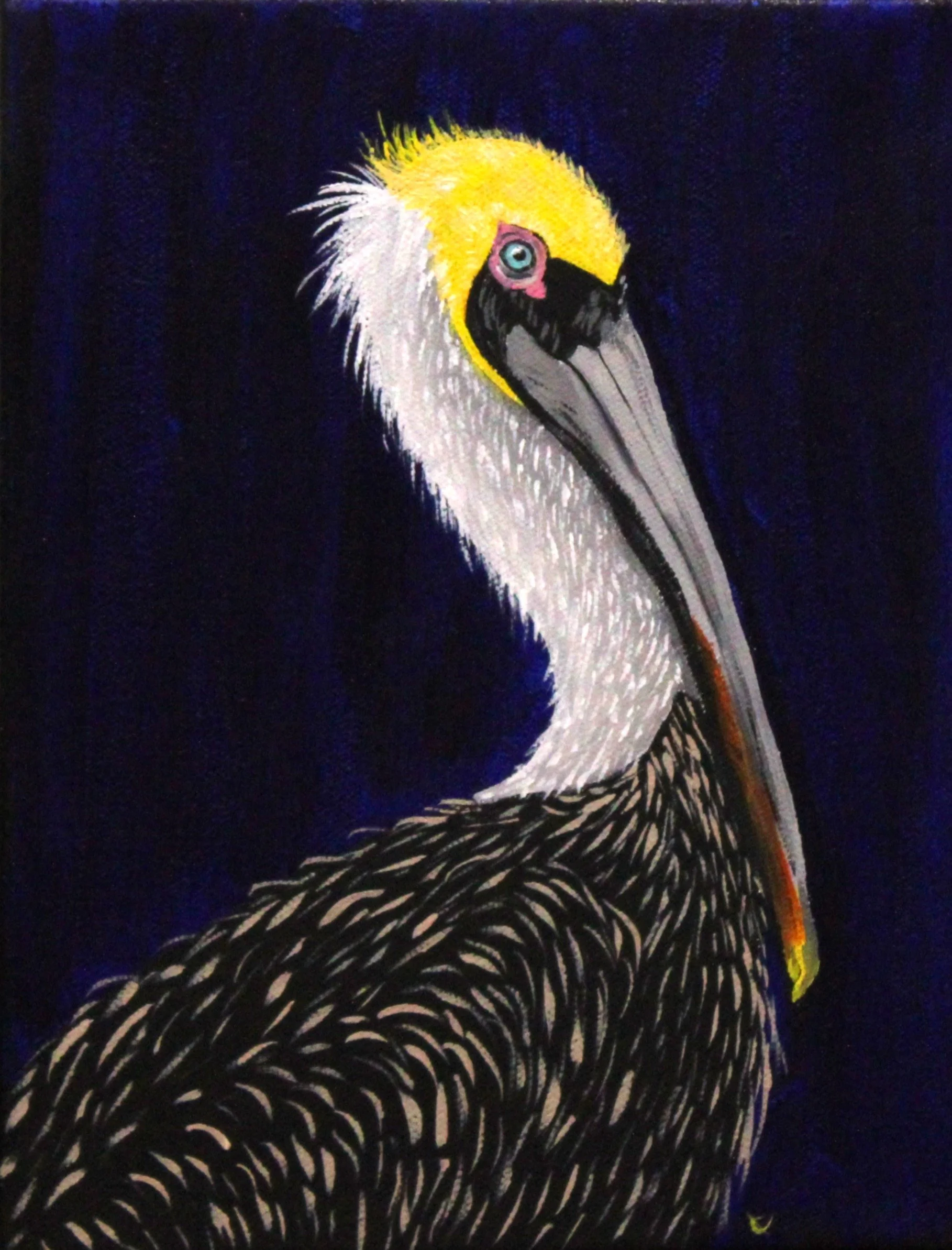 Azure Pelican.JPG