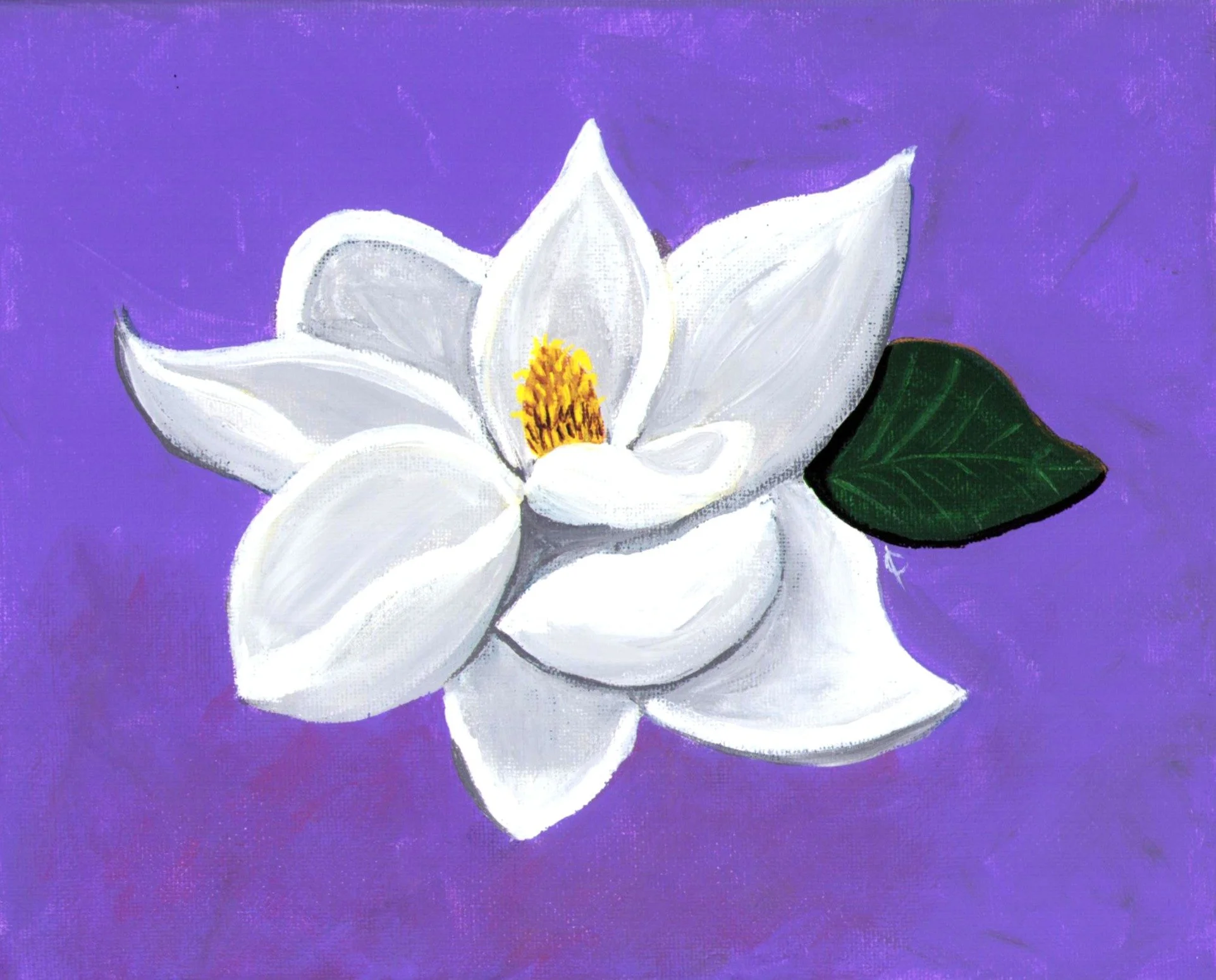 Sweetheart Magnolia Scan Edited.JPG