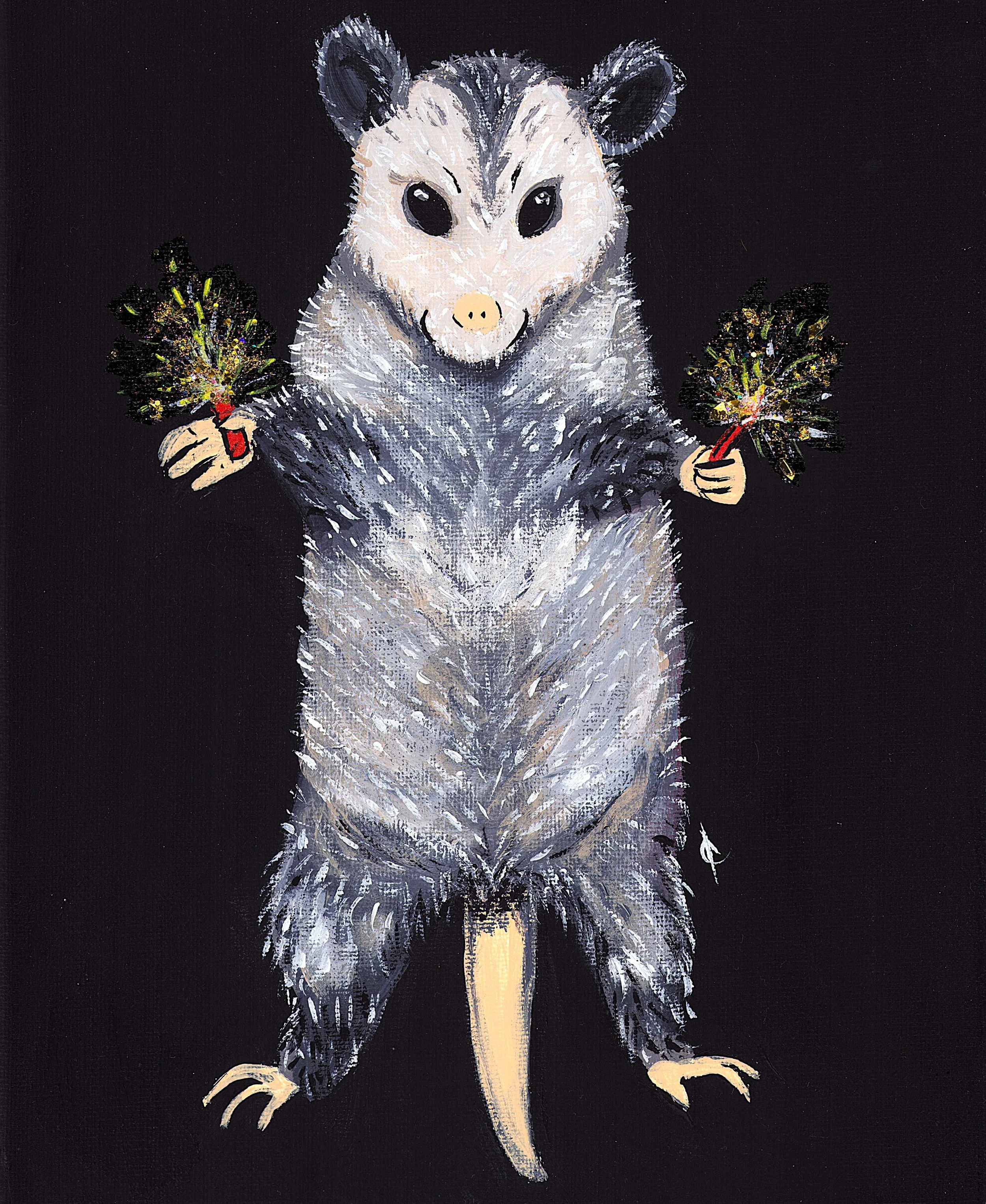 Happy Two Fiddy Fireworks Possum