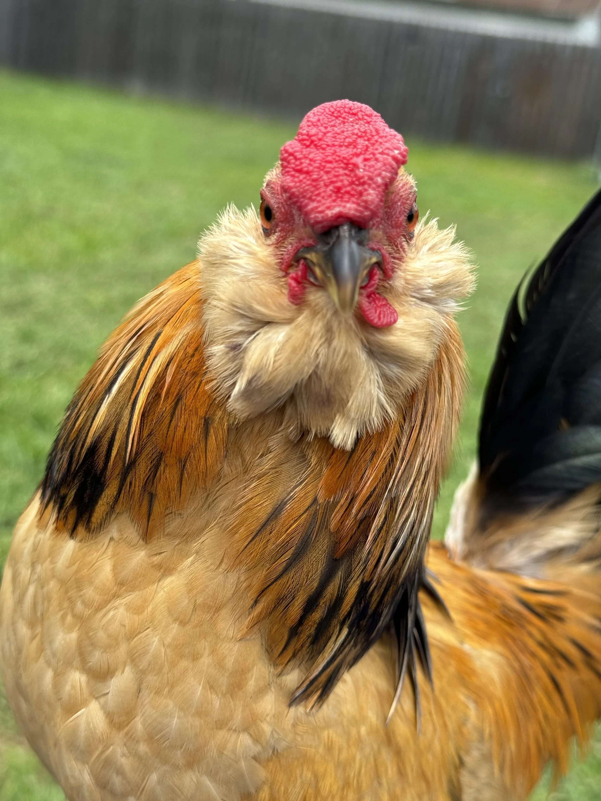 Closing 2024 Wrapped in Semi-deep Thoughts