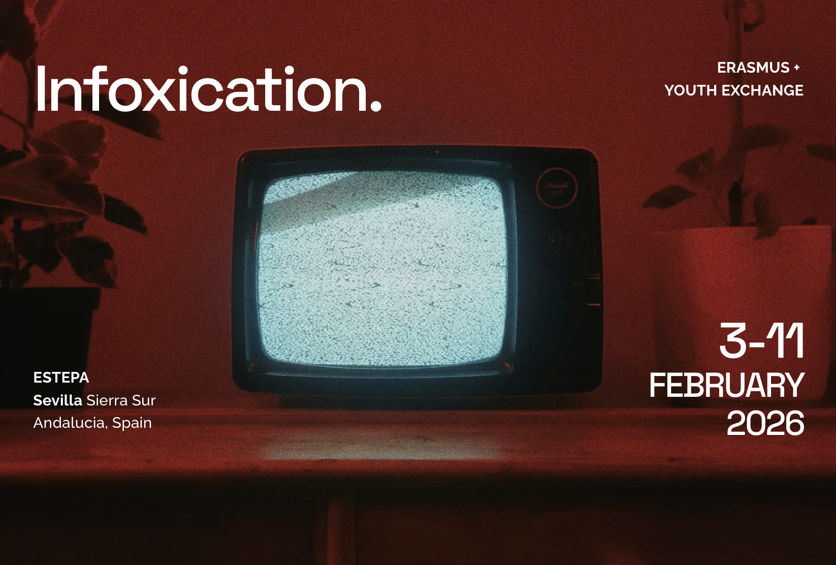 INFOXICATION: Youth Exchange in Estepa, Spain