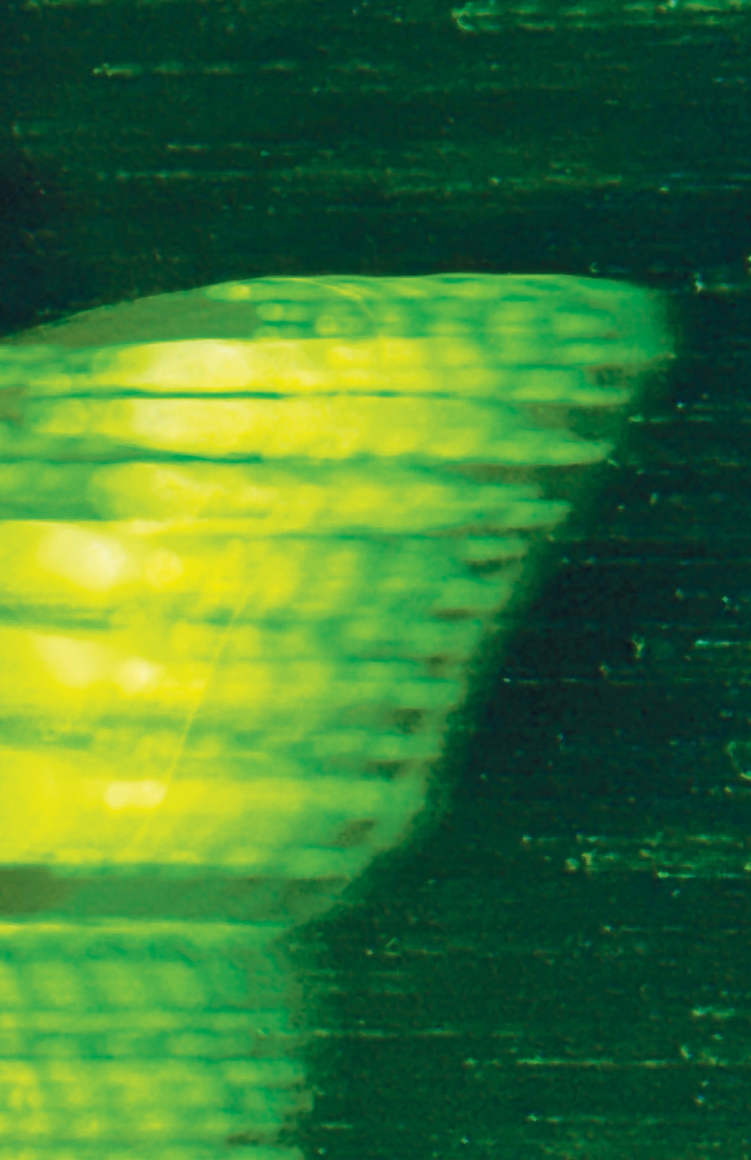 final-butterfly-#7.jpg