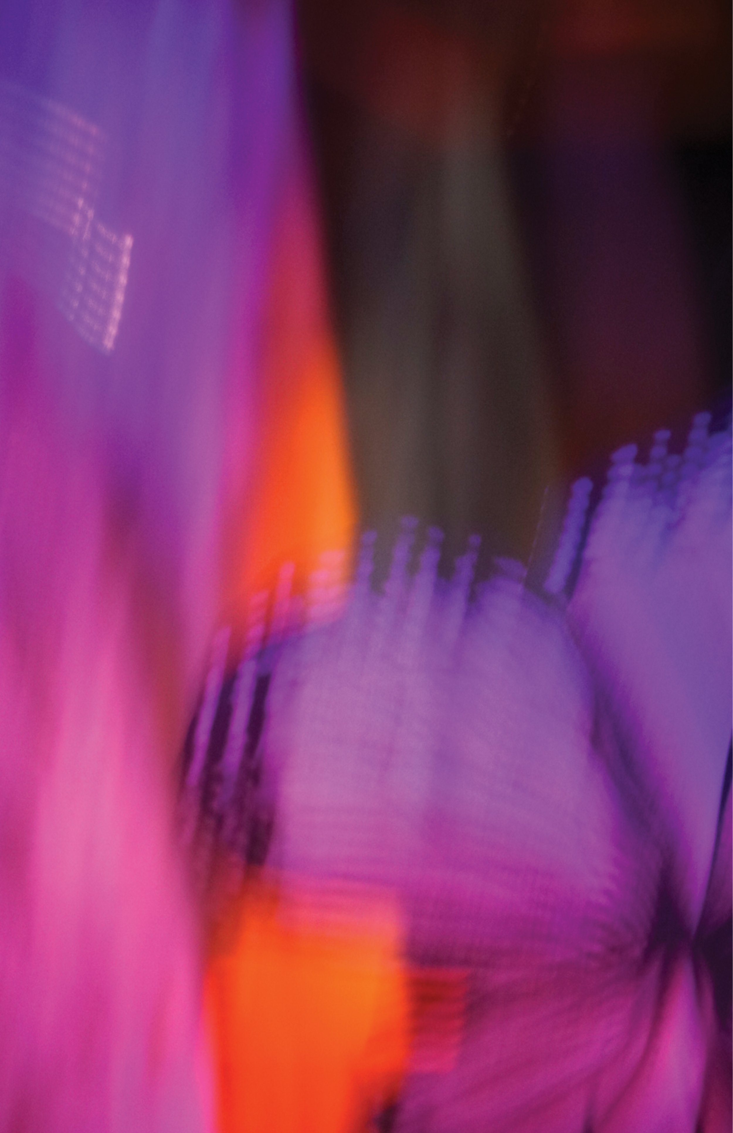 purple-butterfly-#1.jpg