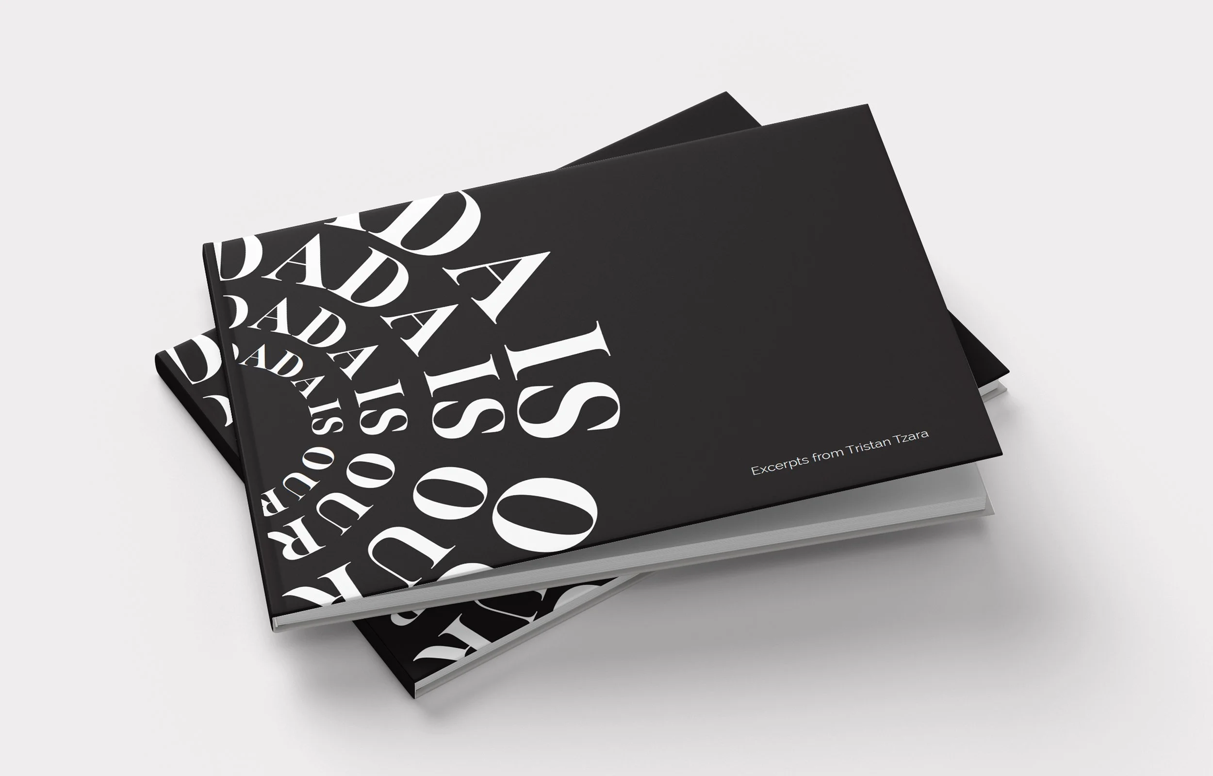 DADA MANIFESTO BOOK — SOFIA DEMPSEY