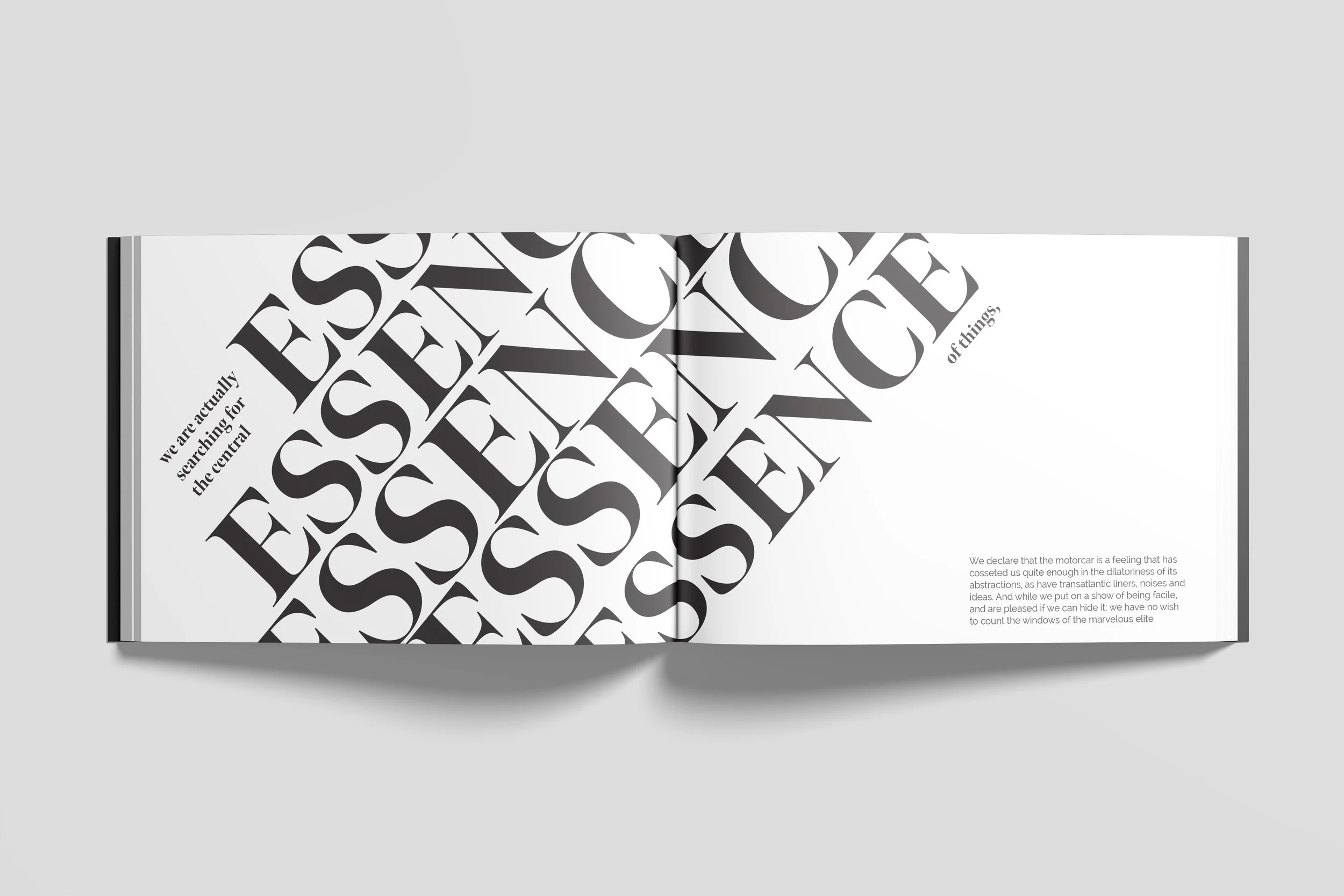 dada-spread-#1-(GRAYY).jpg
